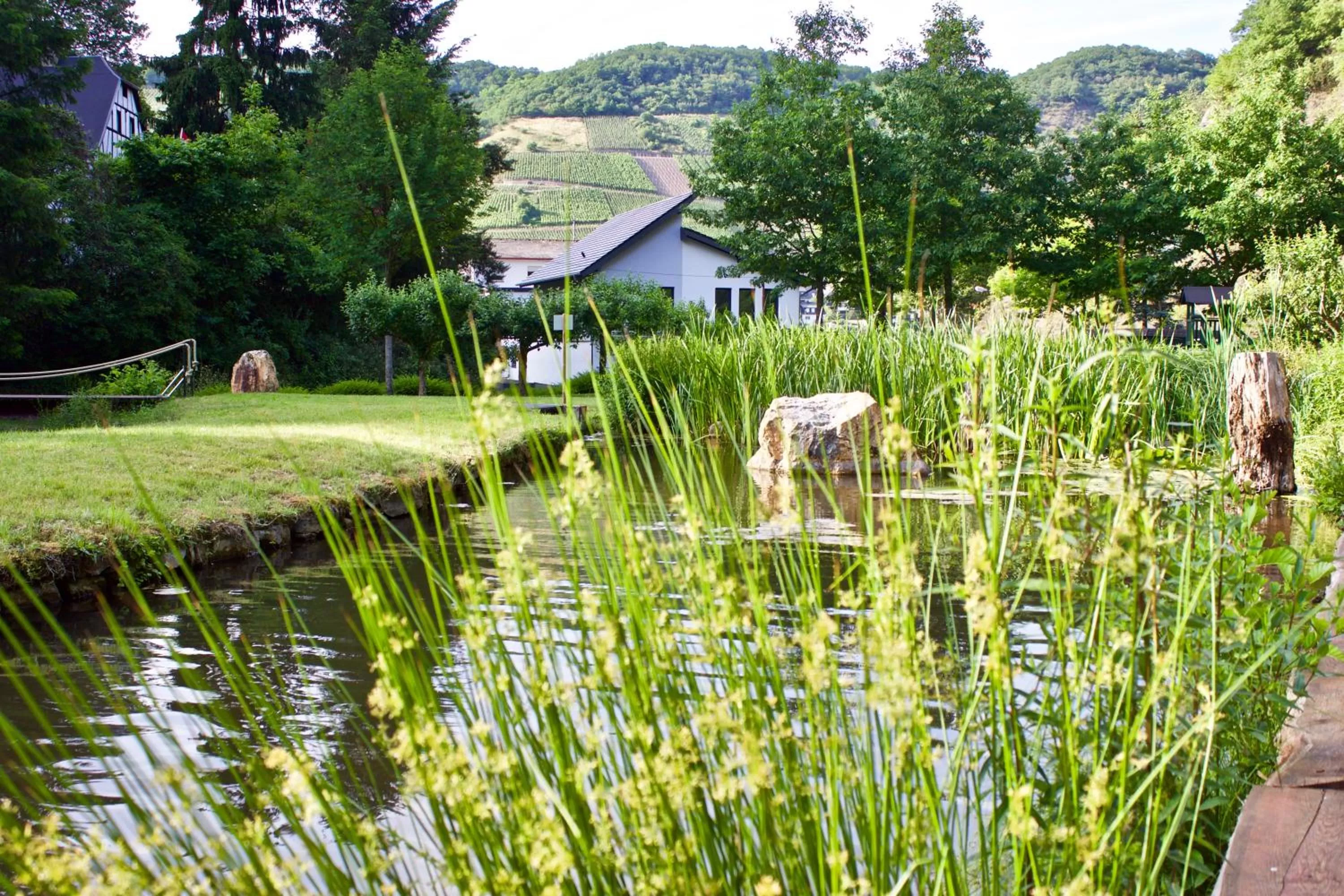 Natural landscape, Garden in Hotel Ostermann