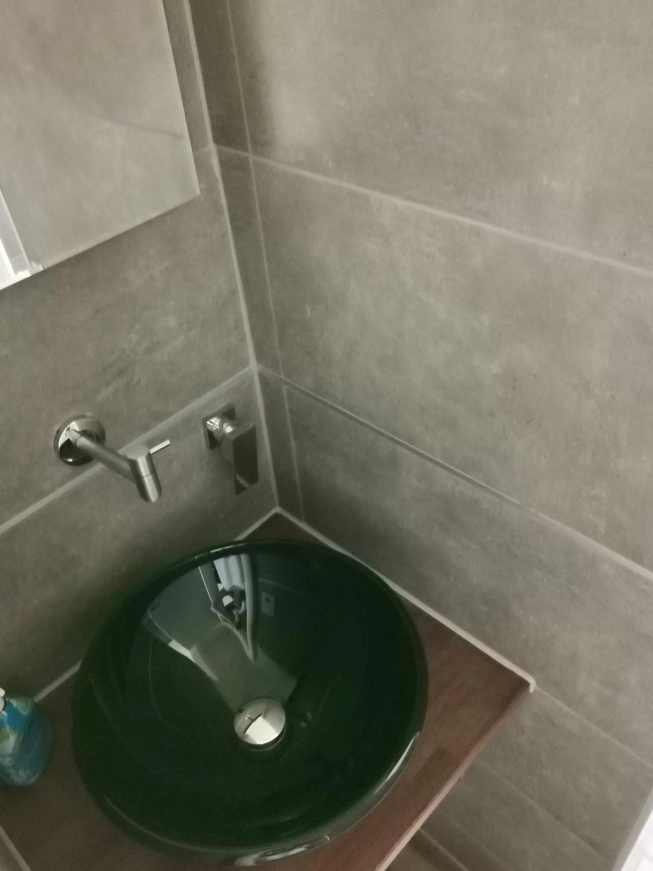 Hotel Grüner Baum - Melissone Italian Restaurant