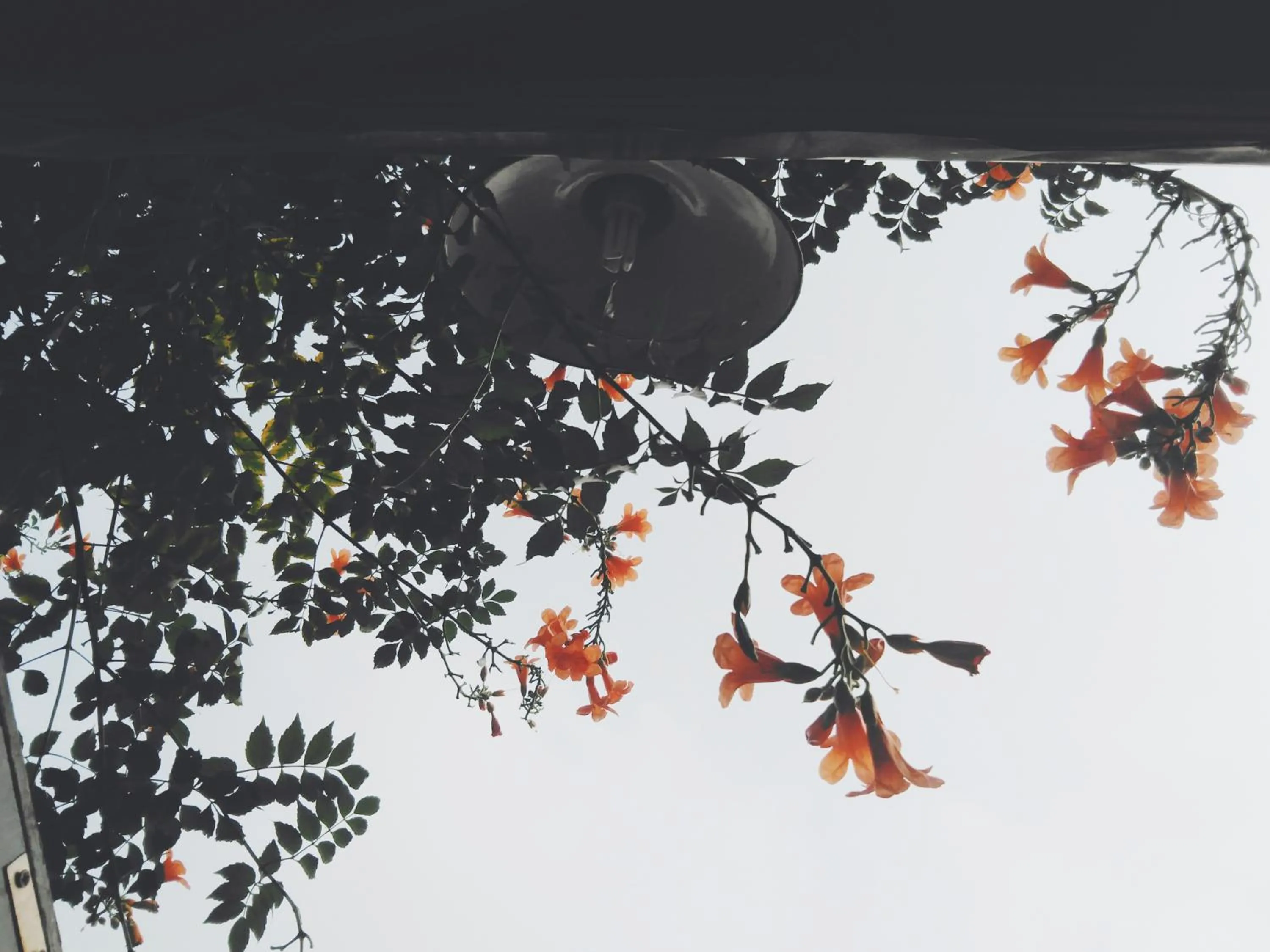 Facade/entrance in Peking Youth Hostel