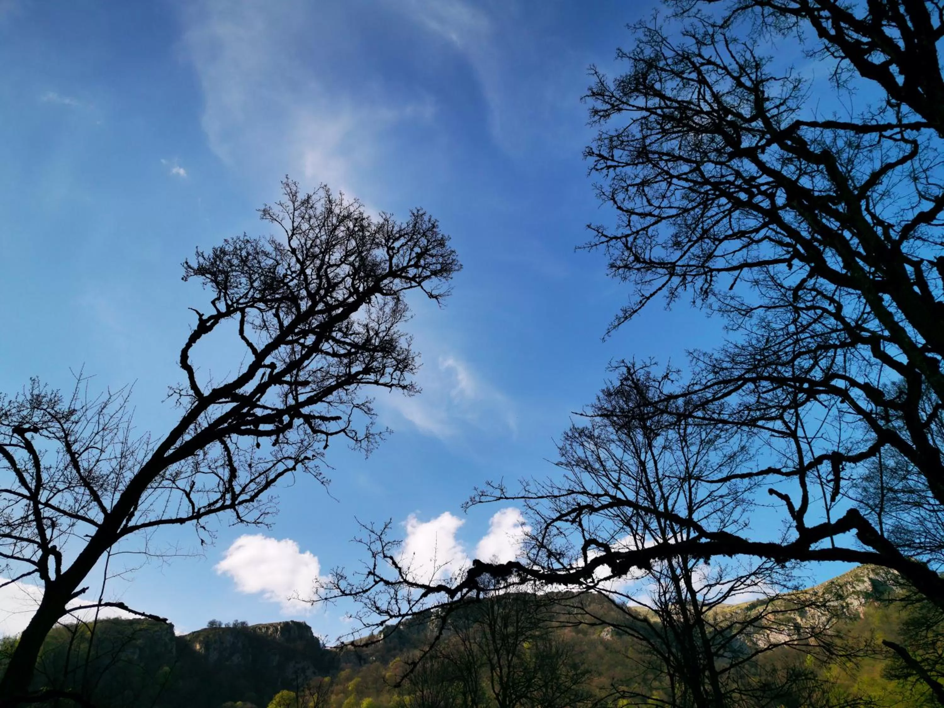 Natural landscape in Vanatun Monastery Stay