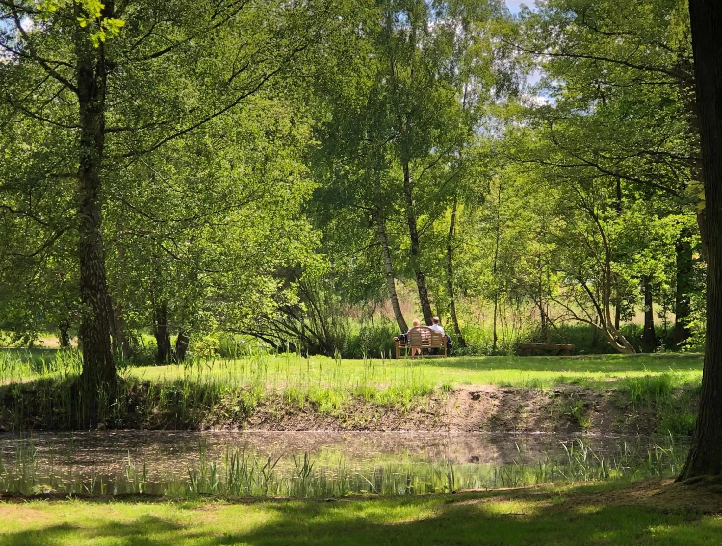Natural landscape in Landhotel Gutshof im Oertzetal in Oldendorf, Südheide