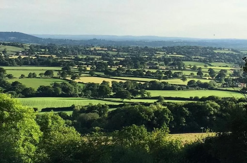 Neighbourhood in Gutchpool Farm