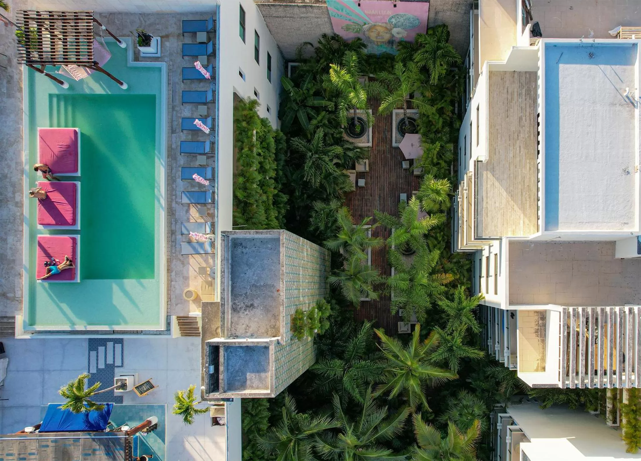 Garden in Hotel The Palm