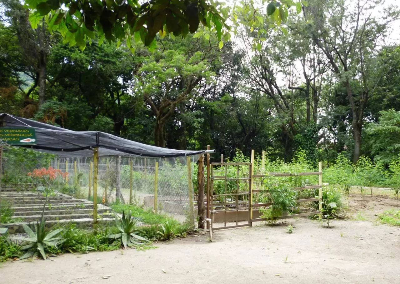 Garden in Hotel San Buenaventura de Atitlán