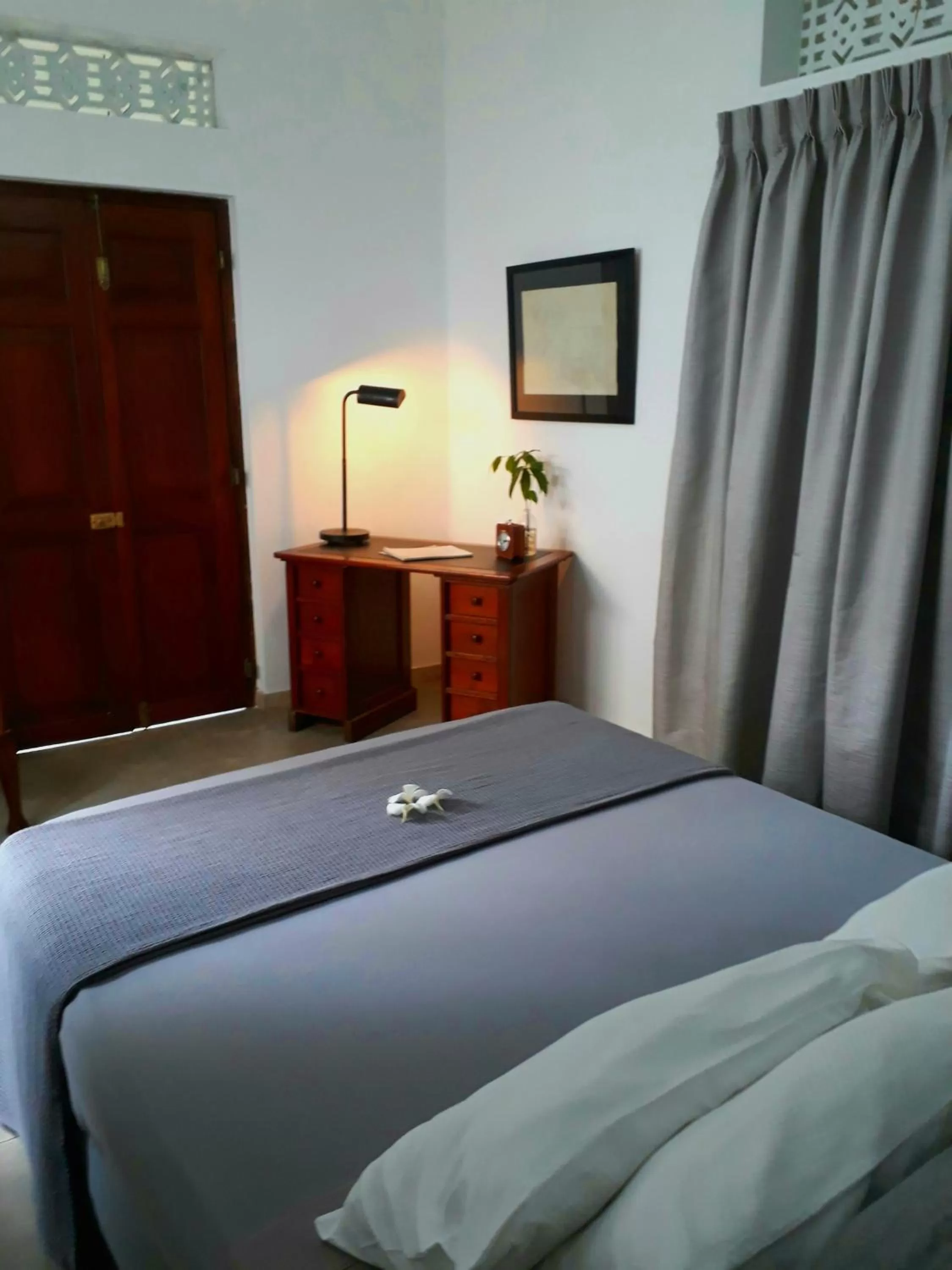 Bed in "27" Spathodea- Oasis in the City