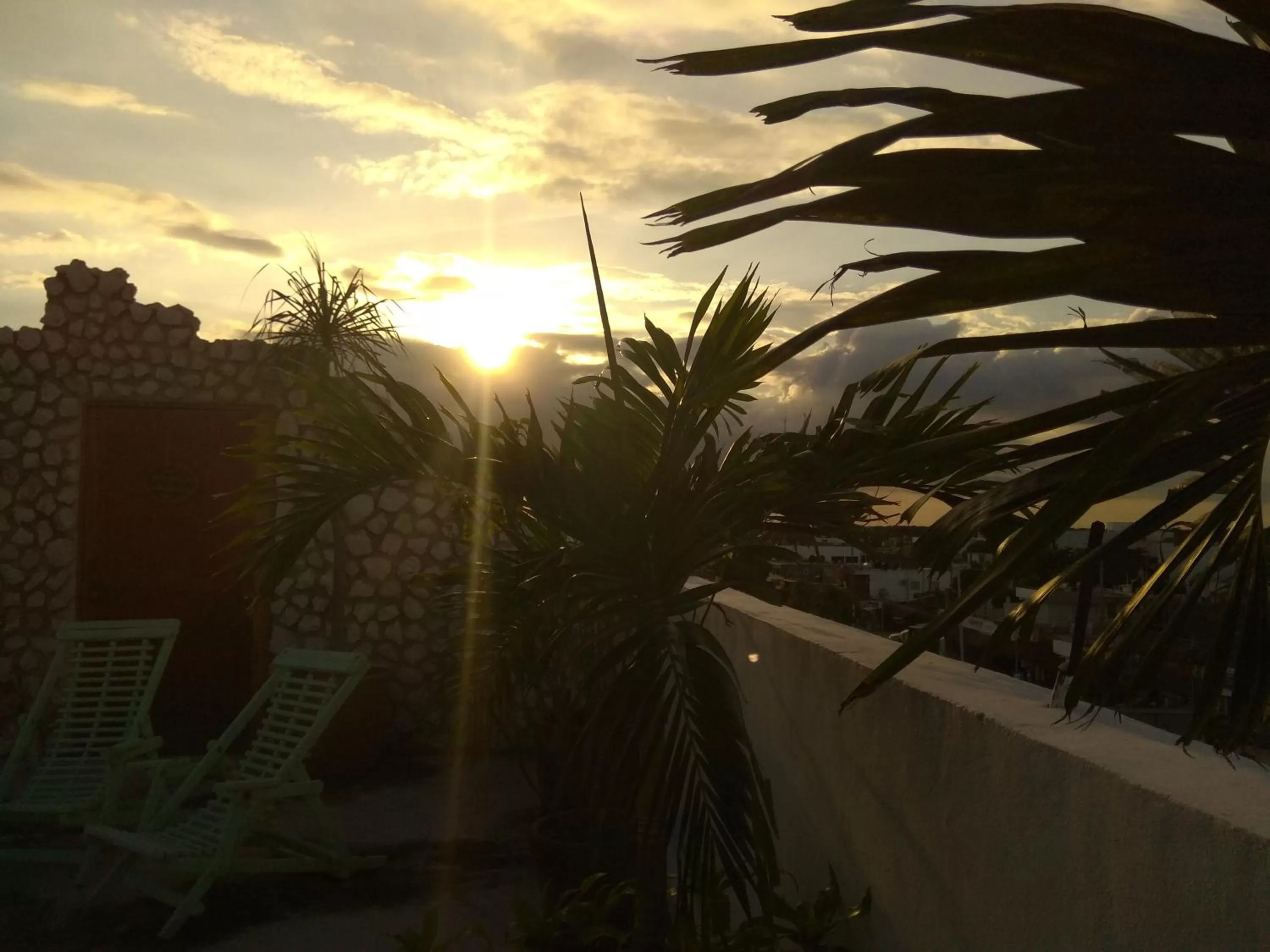 Balcony/Terrace in La Palmita Budget Boutique Hotel
