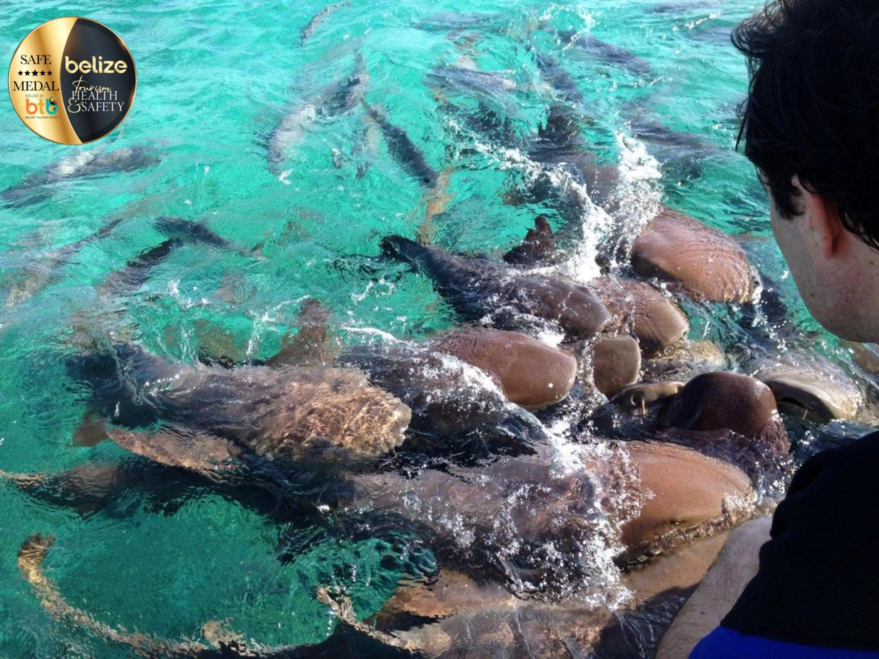Snorkeling in Portofino Beach Resort-An Authentic Island Escape!
