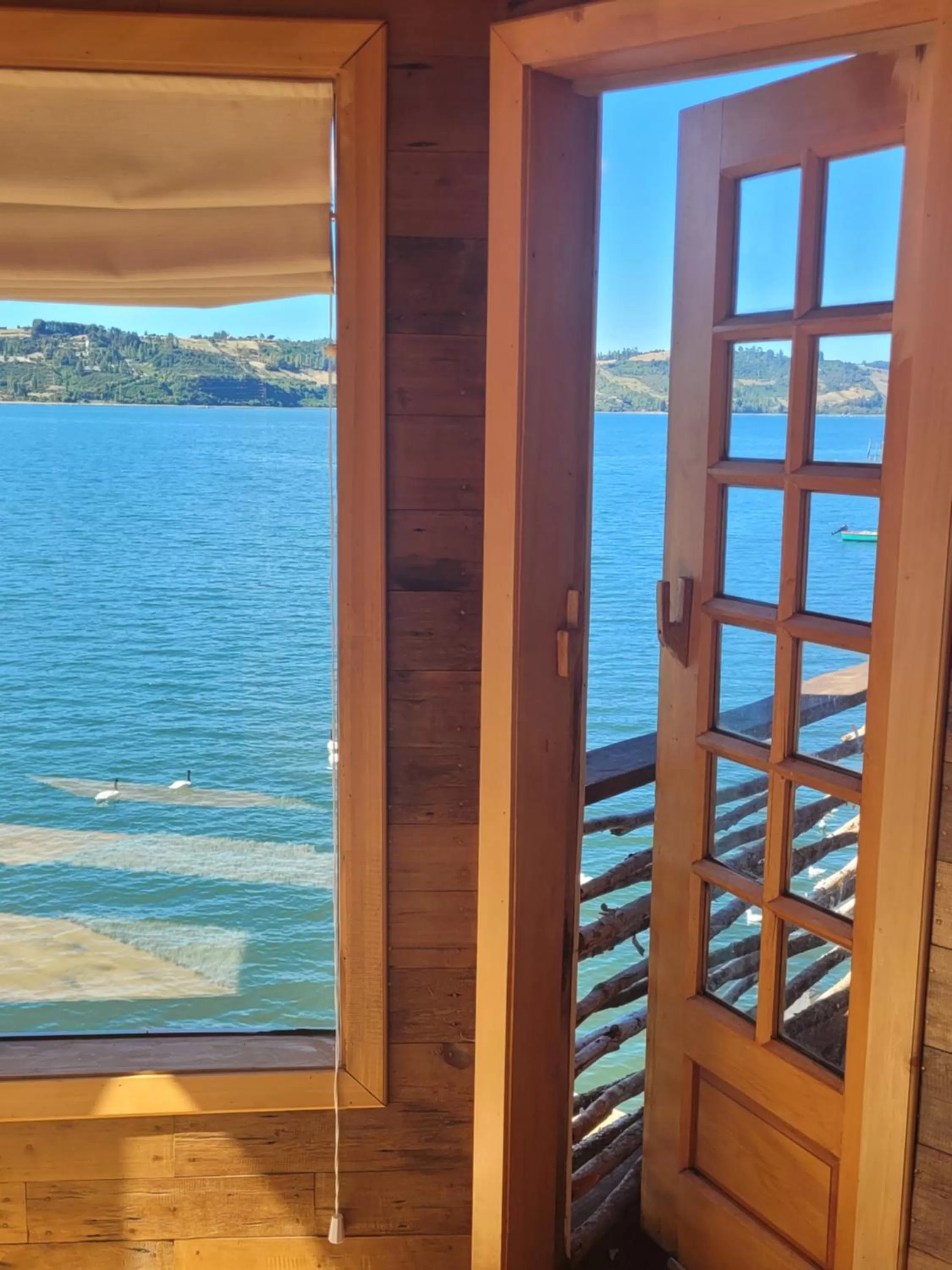 Natural landscape, Sea View in ALMA CHILOTA