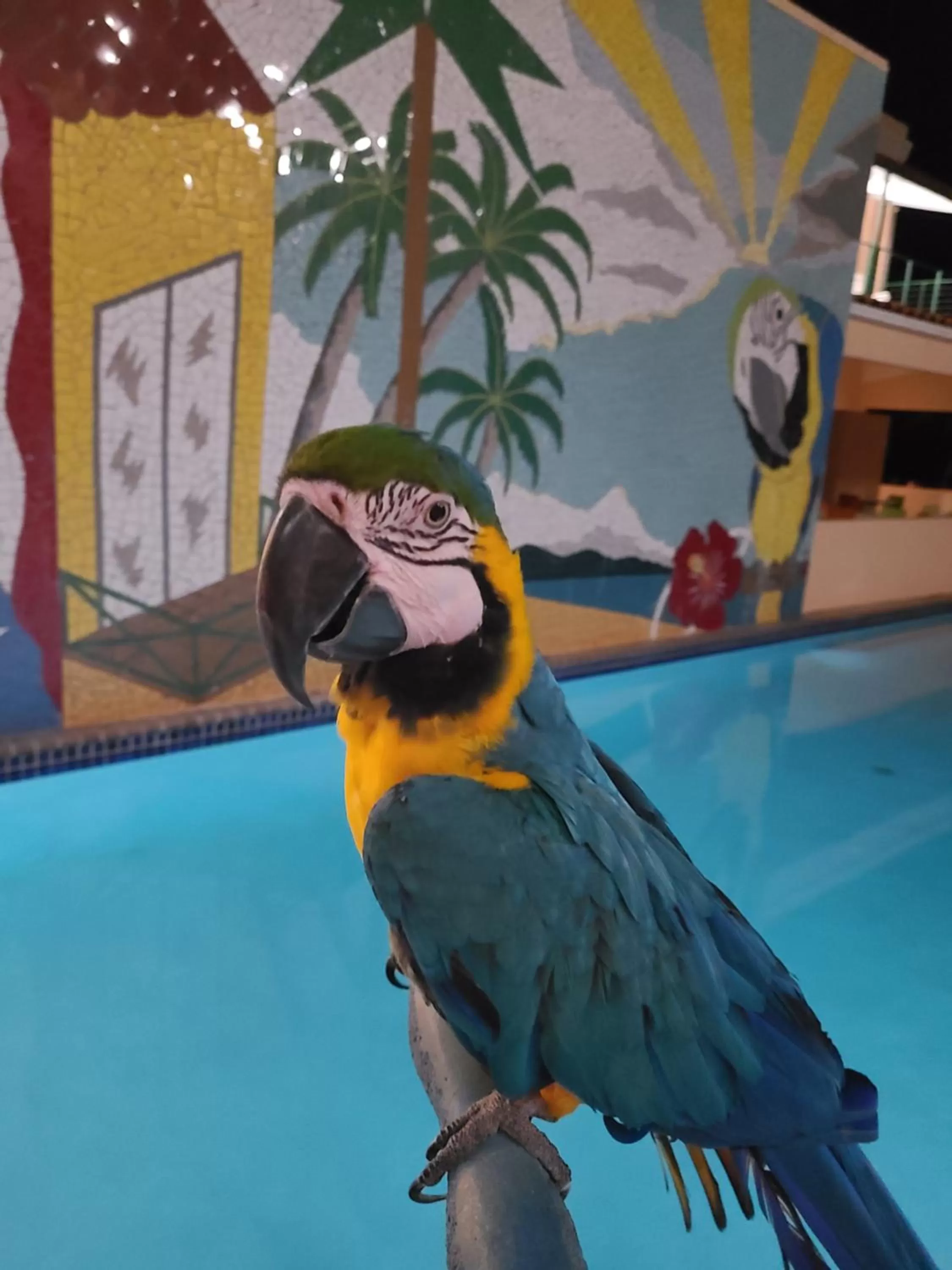 Parador Palmas de Lucia