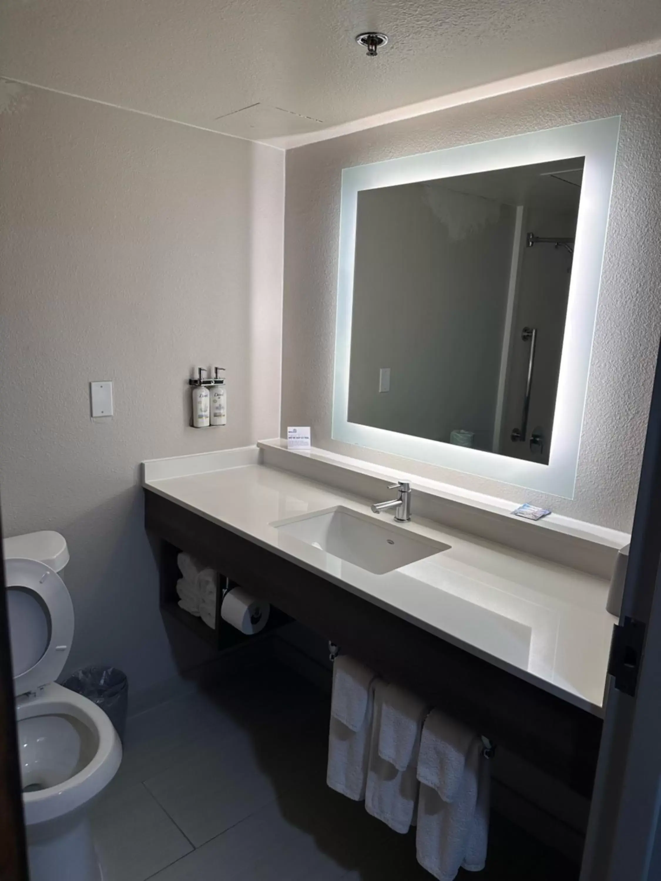 Toilet, Bathroom in Holiday Inn Express Hotel and Suites Mesquite, an IHG Hotel Toilet, Bathroom in Holiday Inn Express Hotel and Suites Mesquite, an IHG Hotel