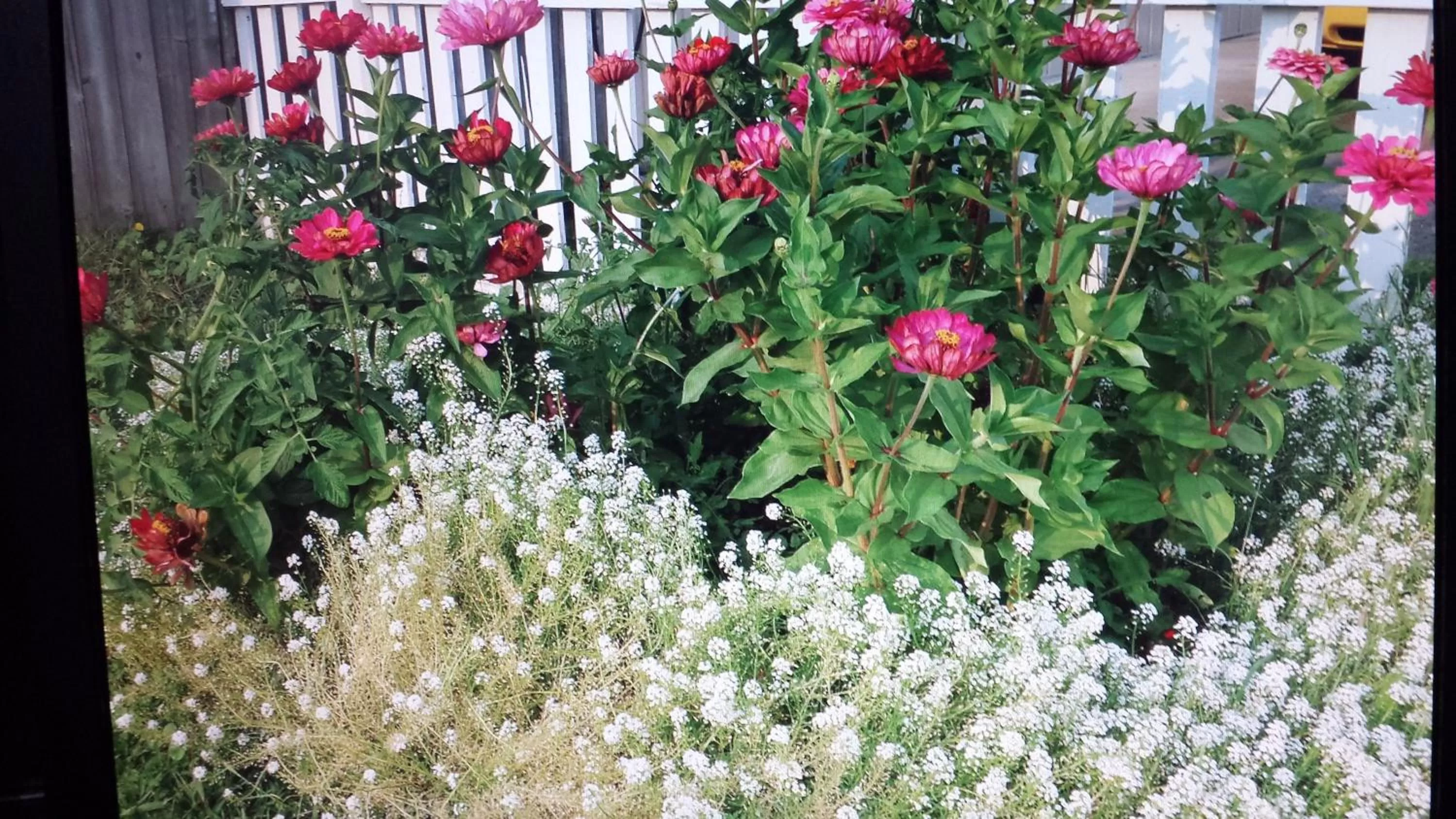 Star Inn by Elevate Rooms