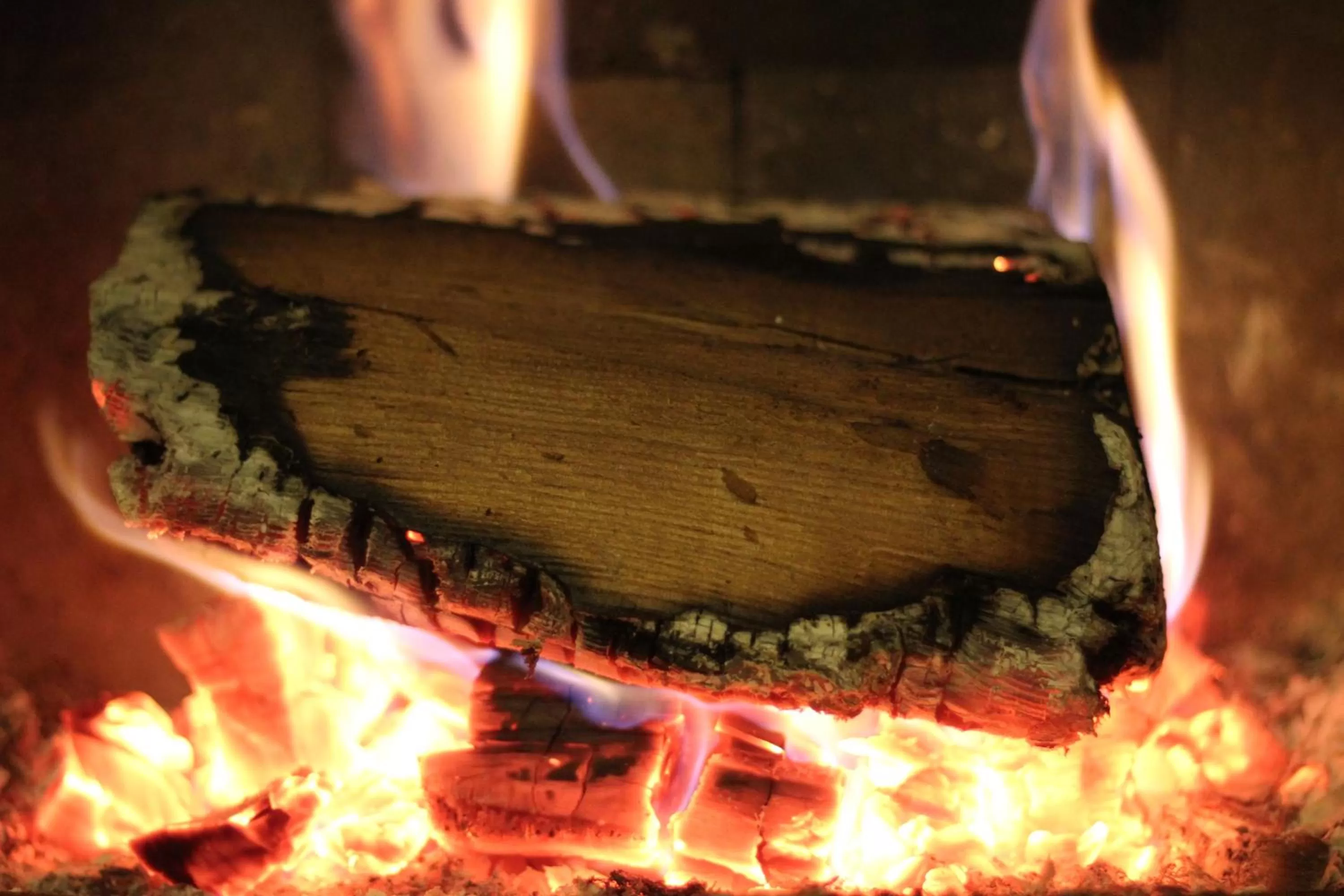 Property building in Royal Oak Hotel