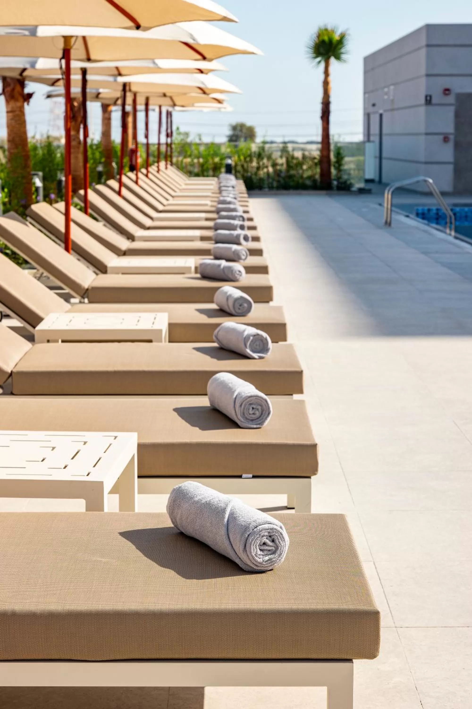 sunbed in Remal Hotel & Villas Al Dhannah City