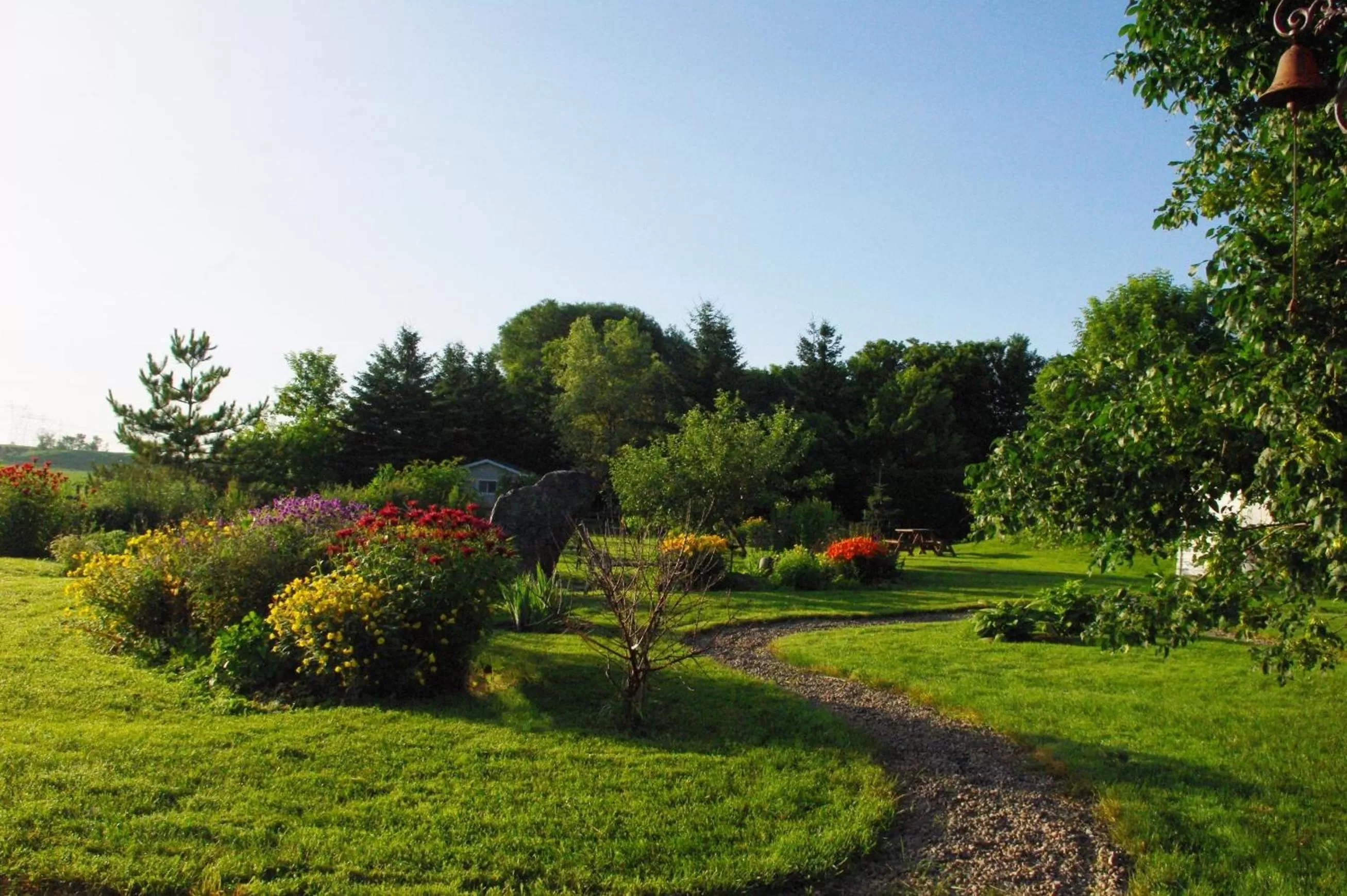 Garden in Atelier Galerie Anne Drouin Peinture & Pension