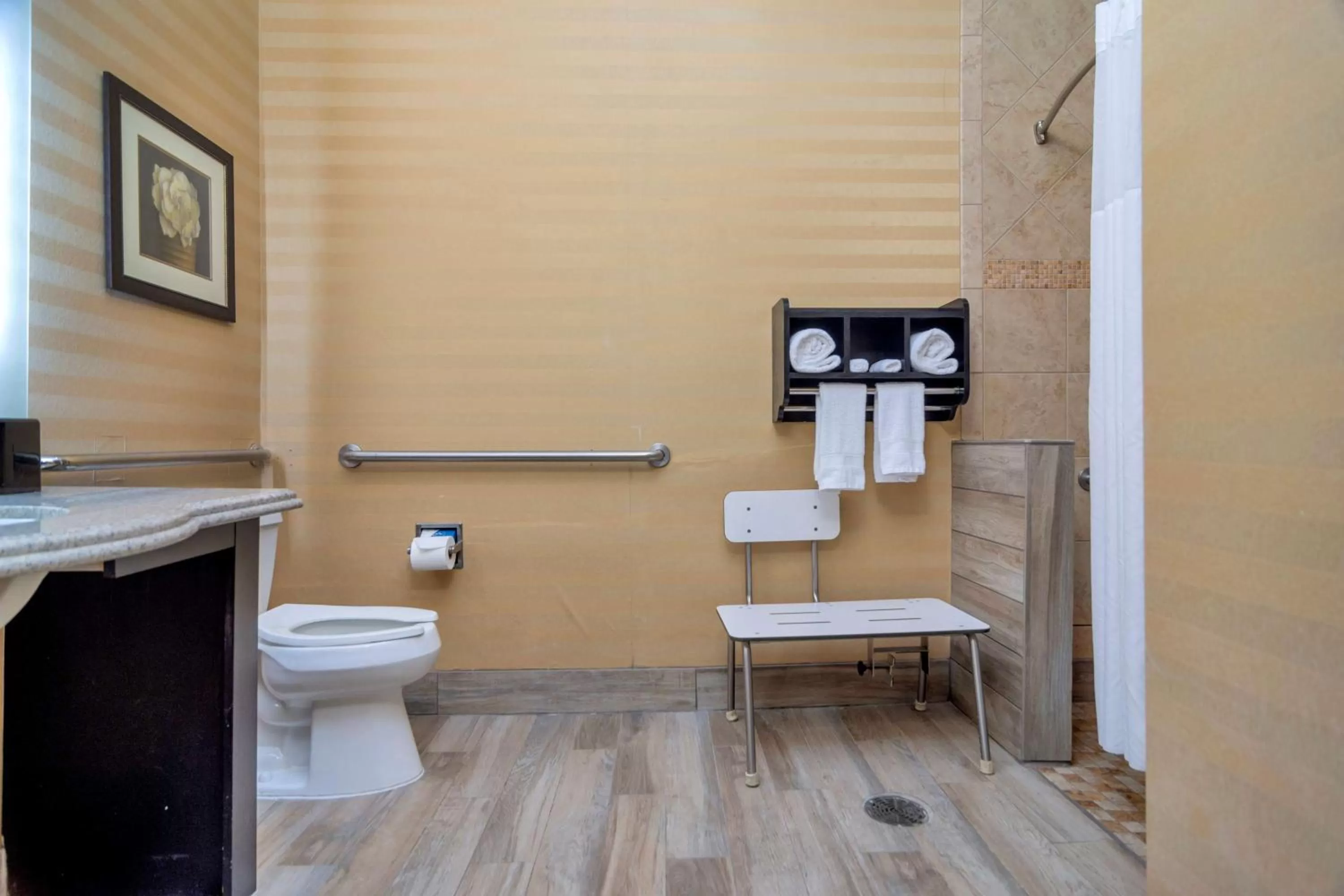 Bathroom in Hampton Inn & Suites Fort Worth-Fossil Creek