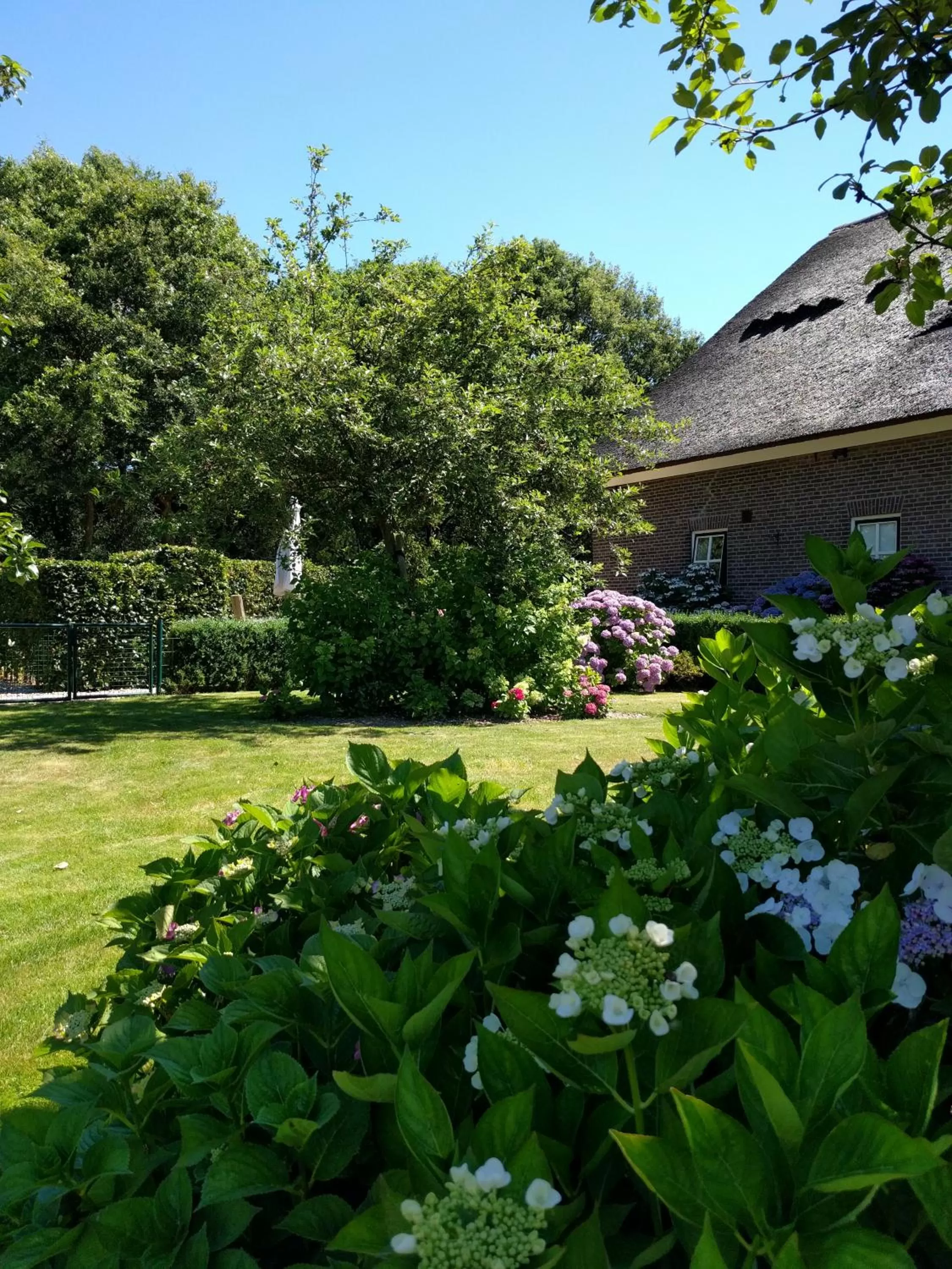 B&B Agnetenhoeve
