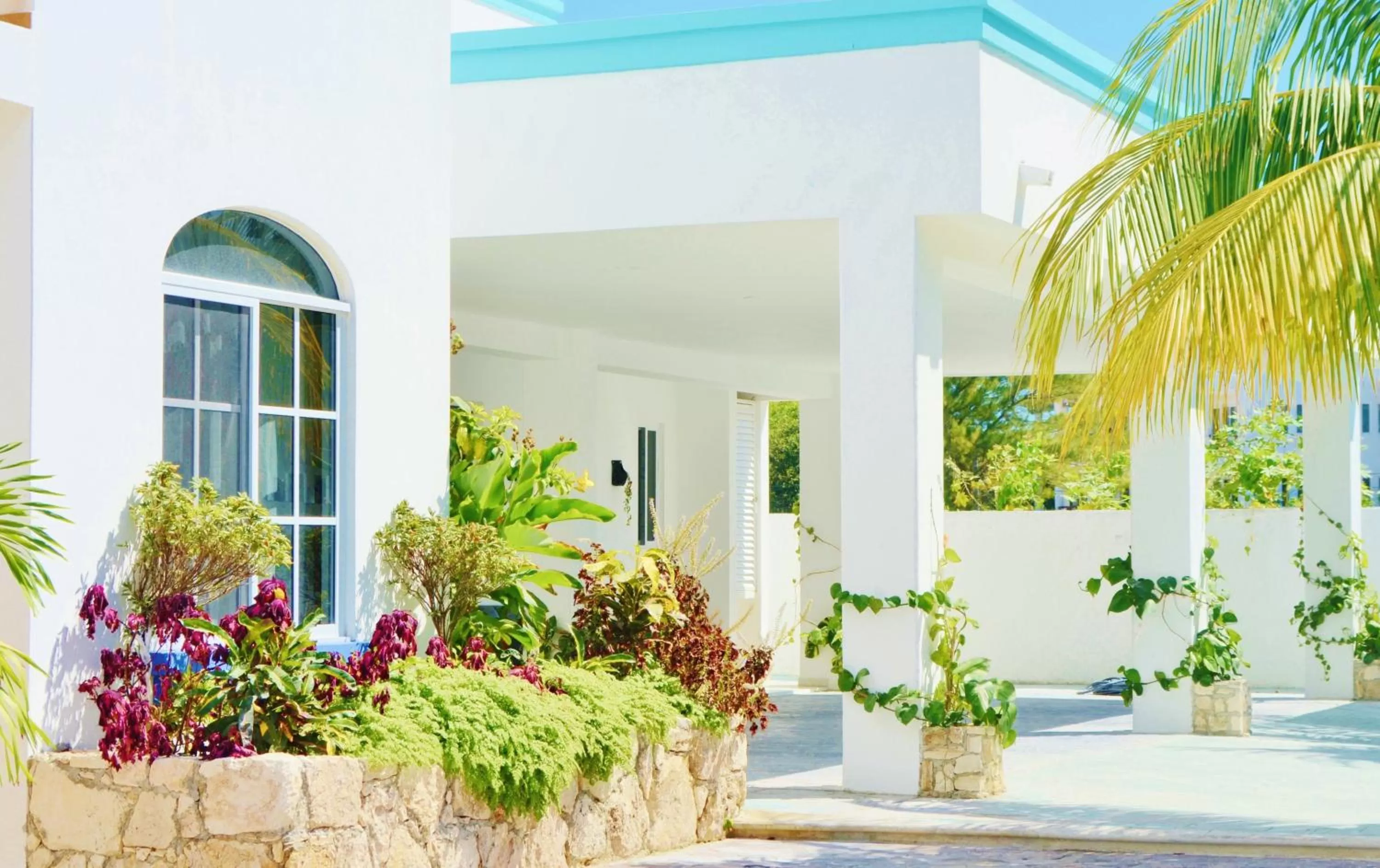 Property building in Corales Suites
