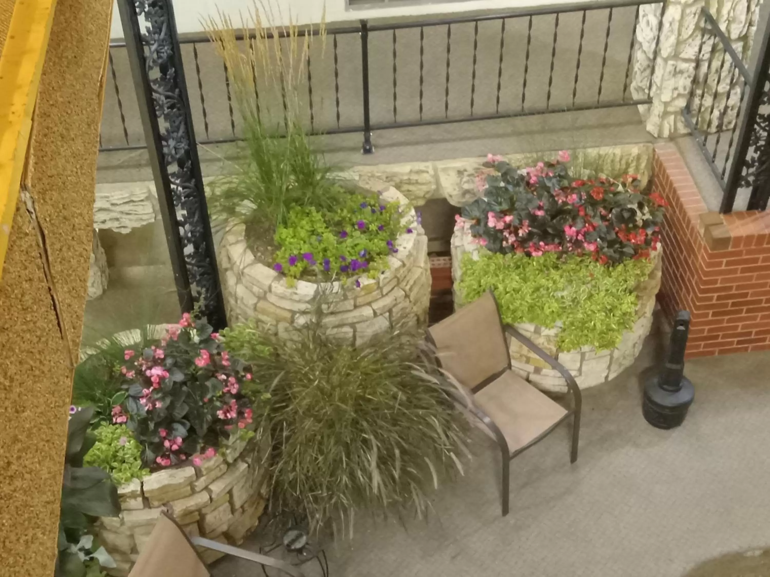 Patio in Siesta Motel