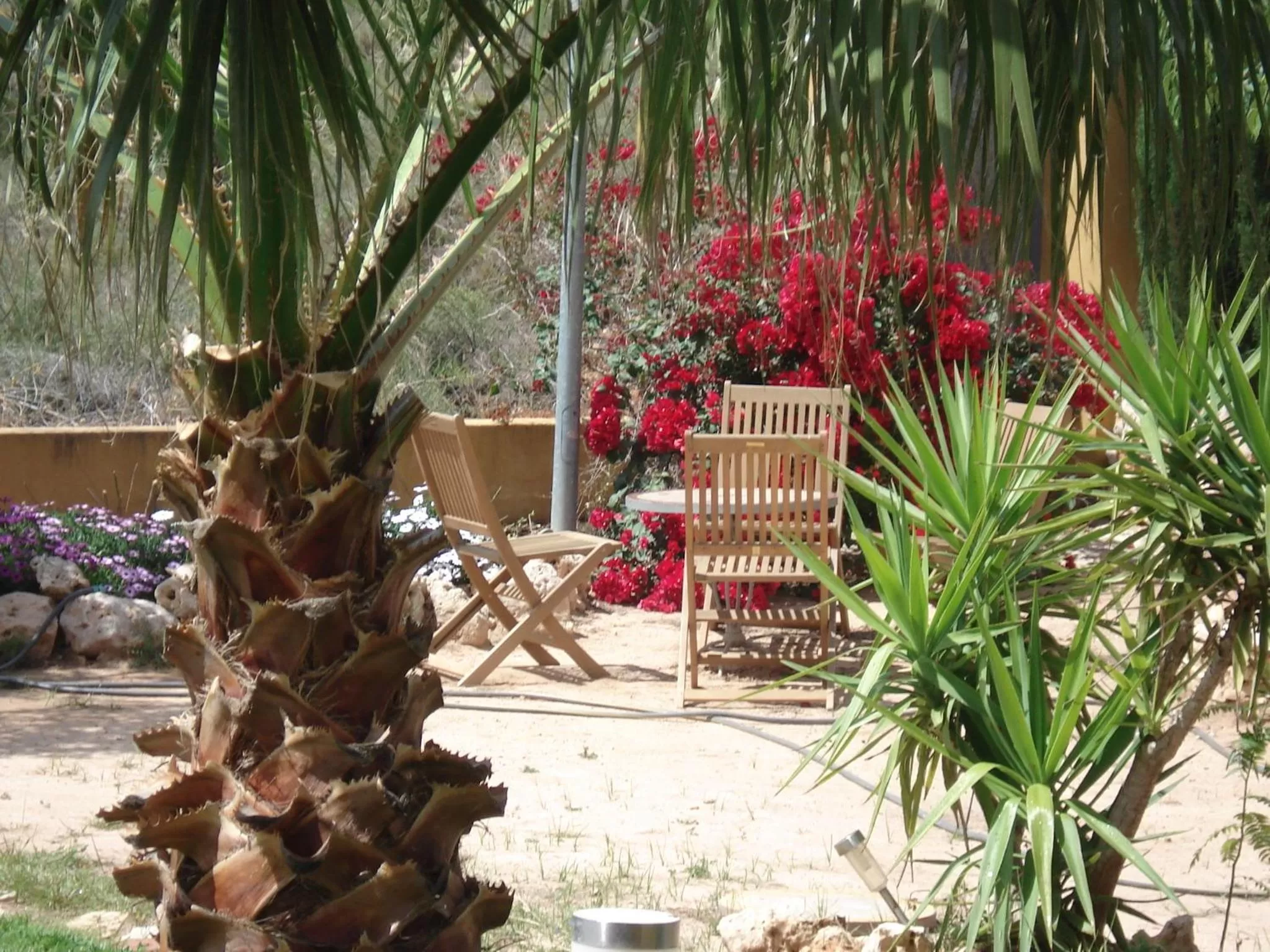 Garden, Patio/Outdoor Area in El Racó de la Pintora "Adults Only"
