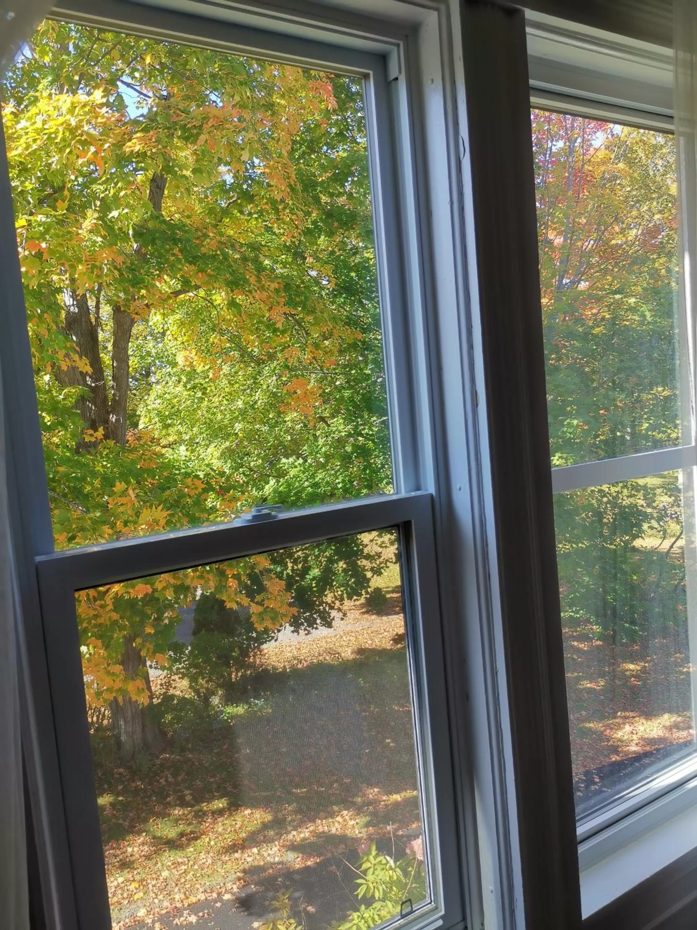 Garden view in By The River B&B