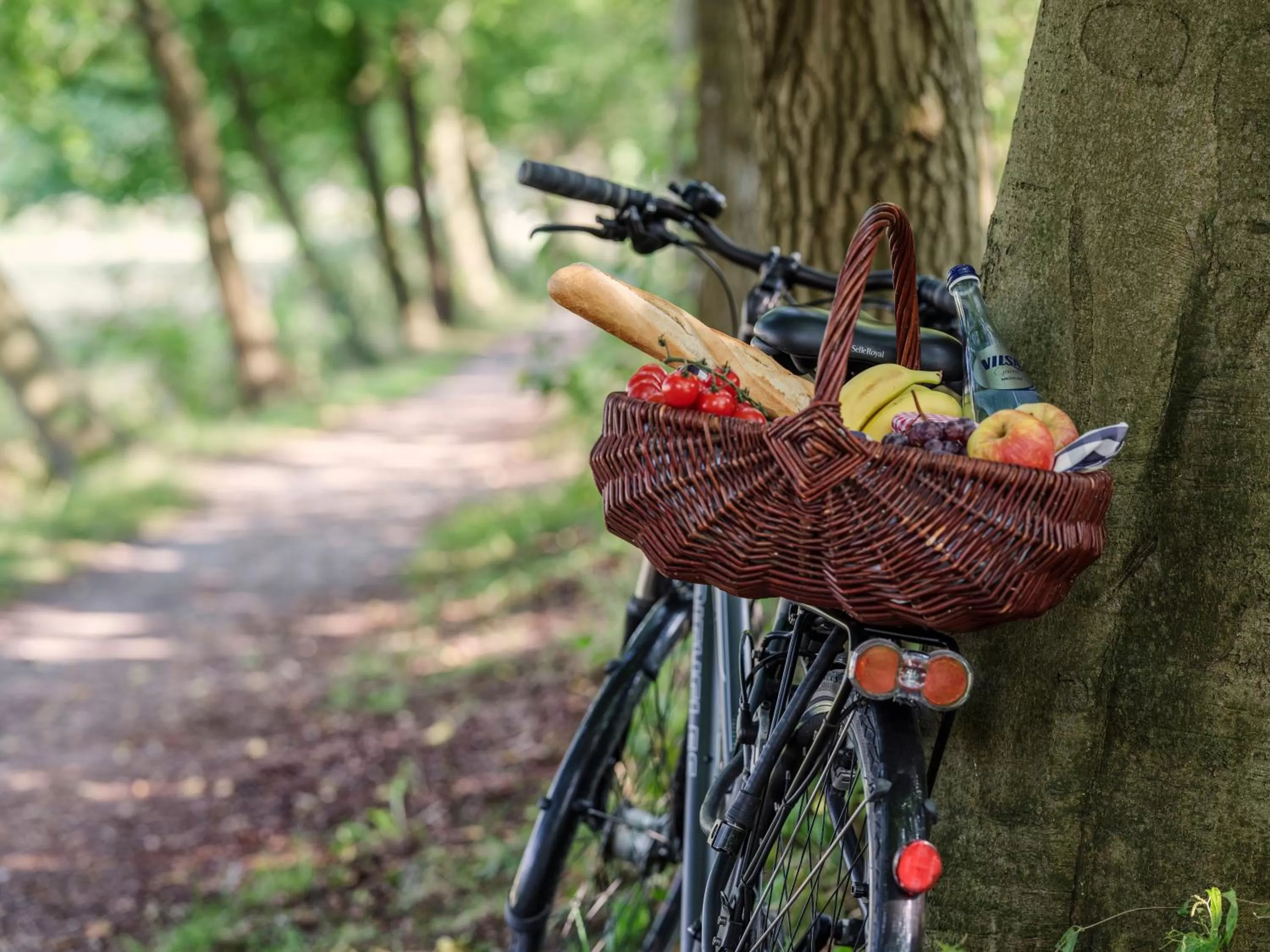 Natural landscape in Romantik Hotel Jagdhaus Eiden am See
