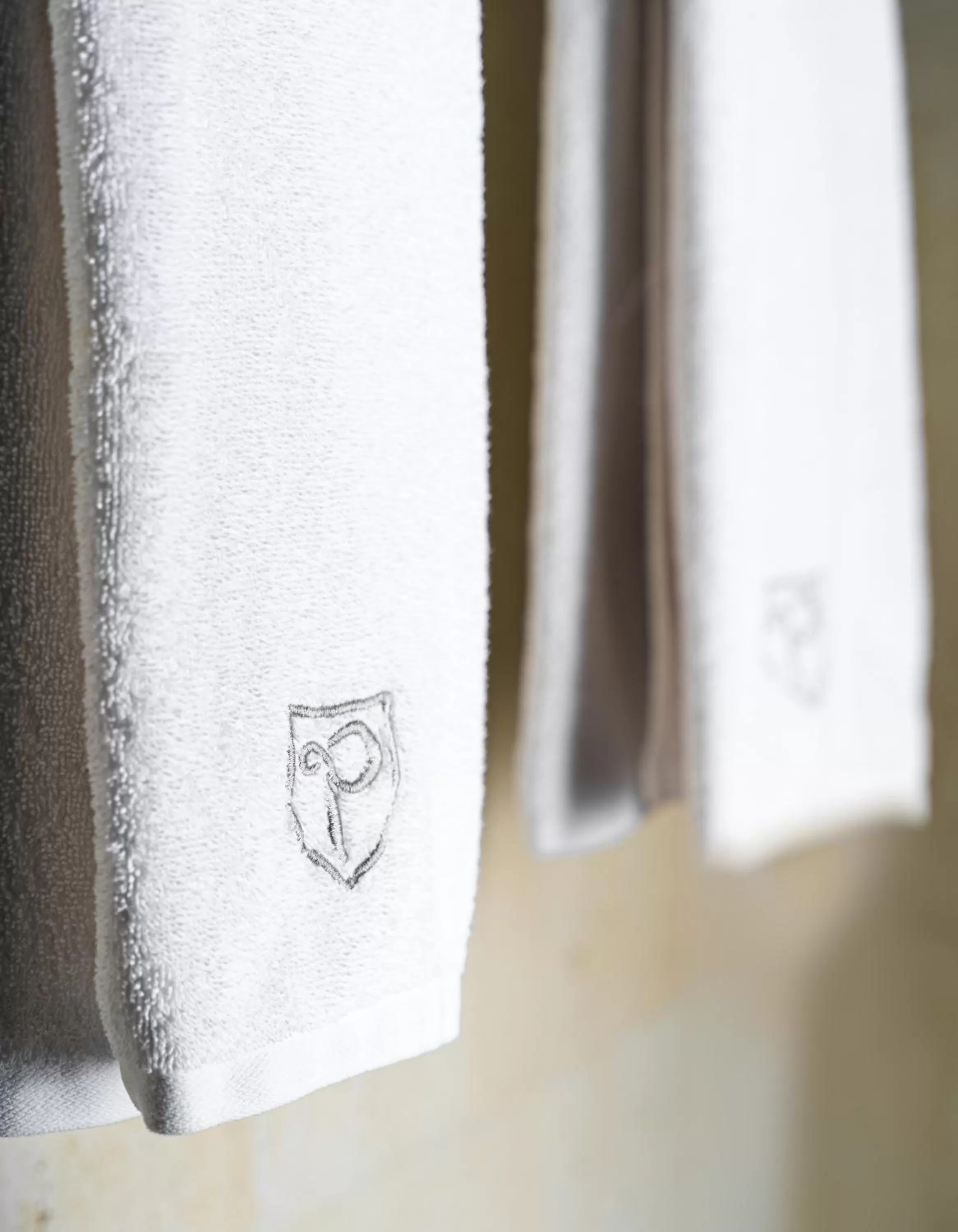 Shower in Paris Hotel Yerevan