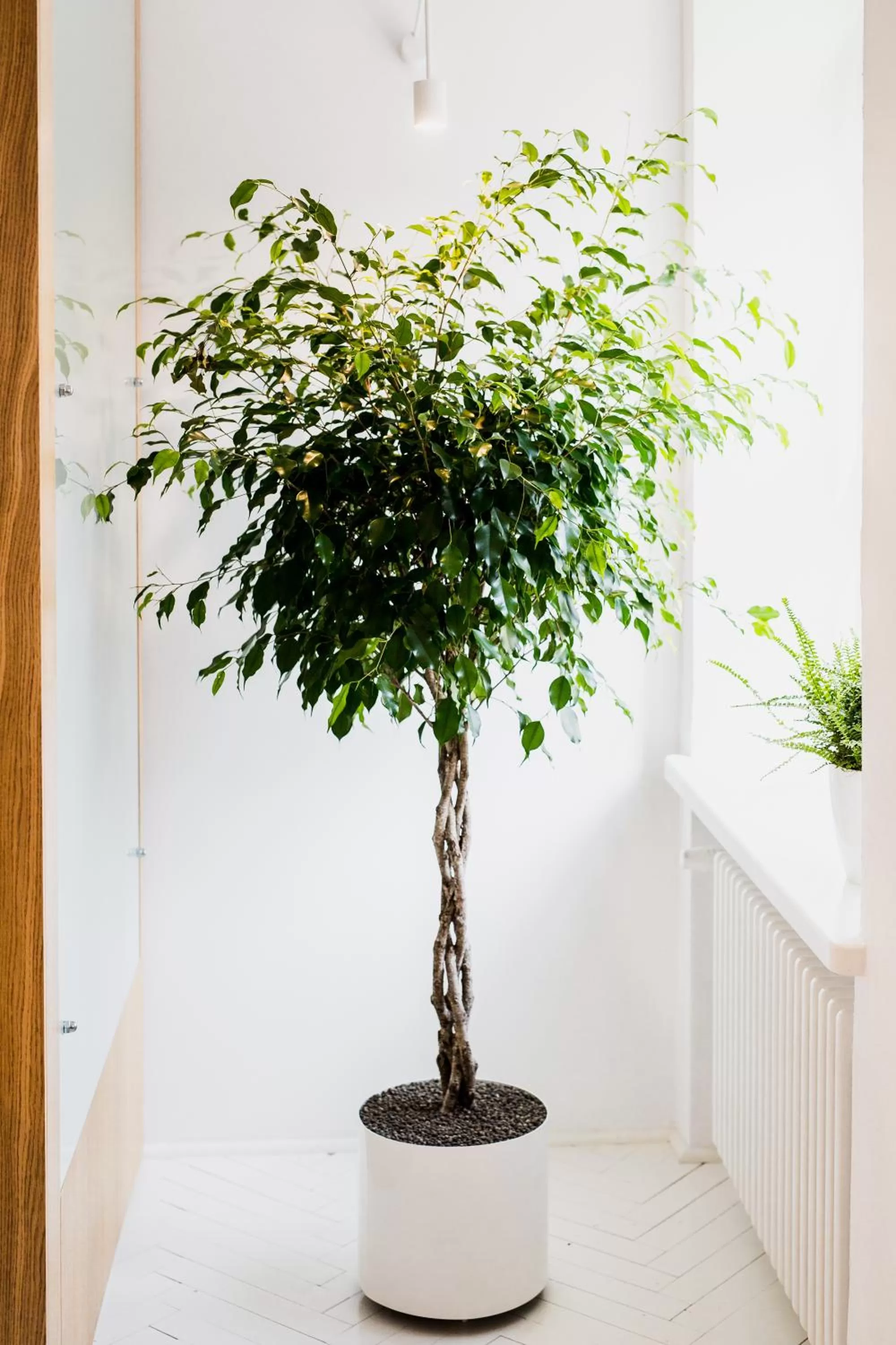 Day in Apartamenty Browar Perła - Perła Brewery Apartments