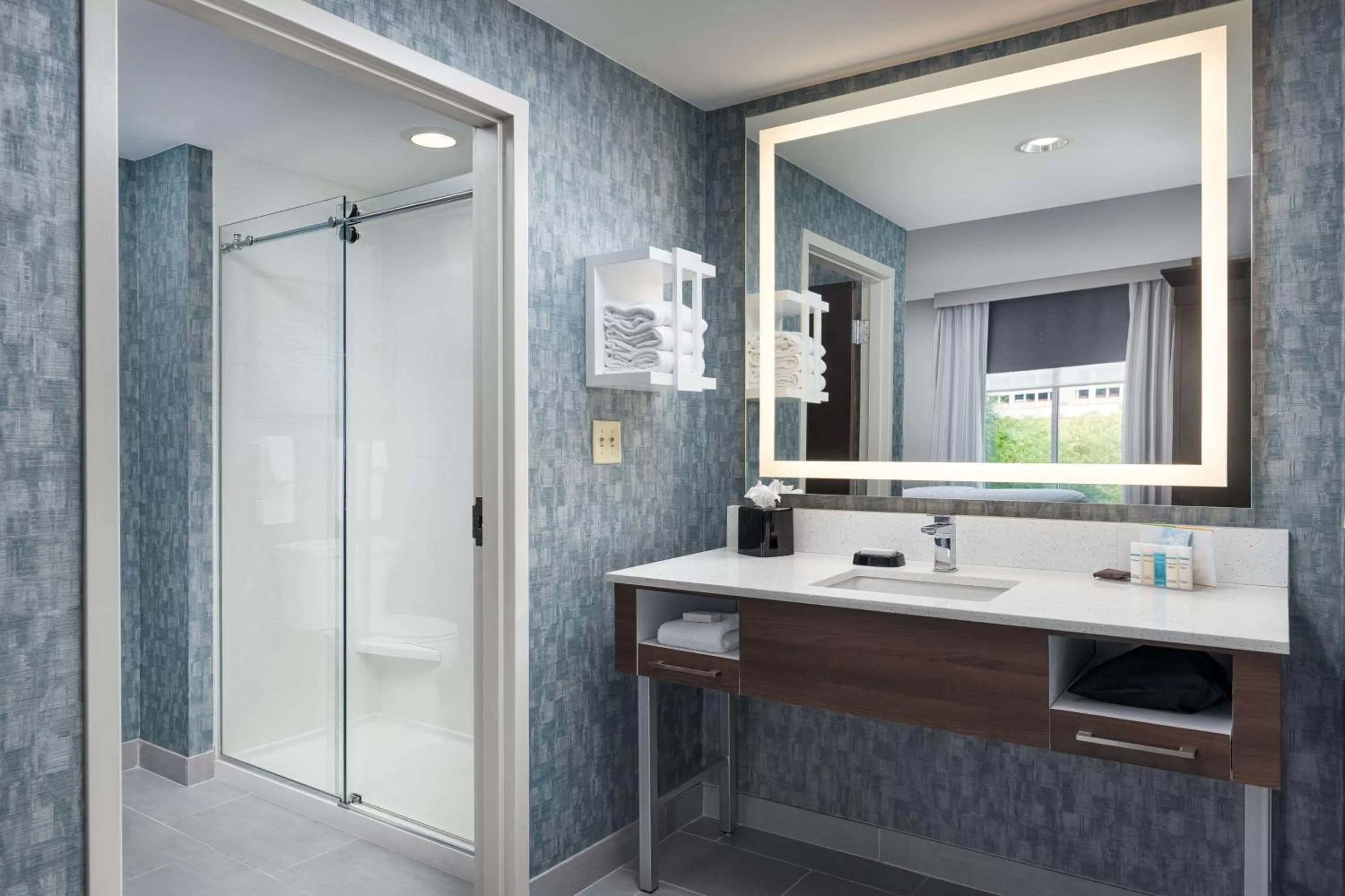 Bathroom in Hampton Inn & Suites Chattanooga Downtown