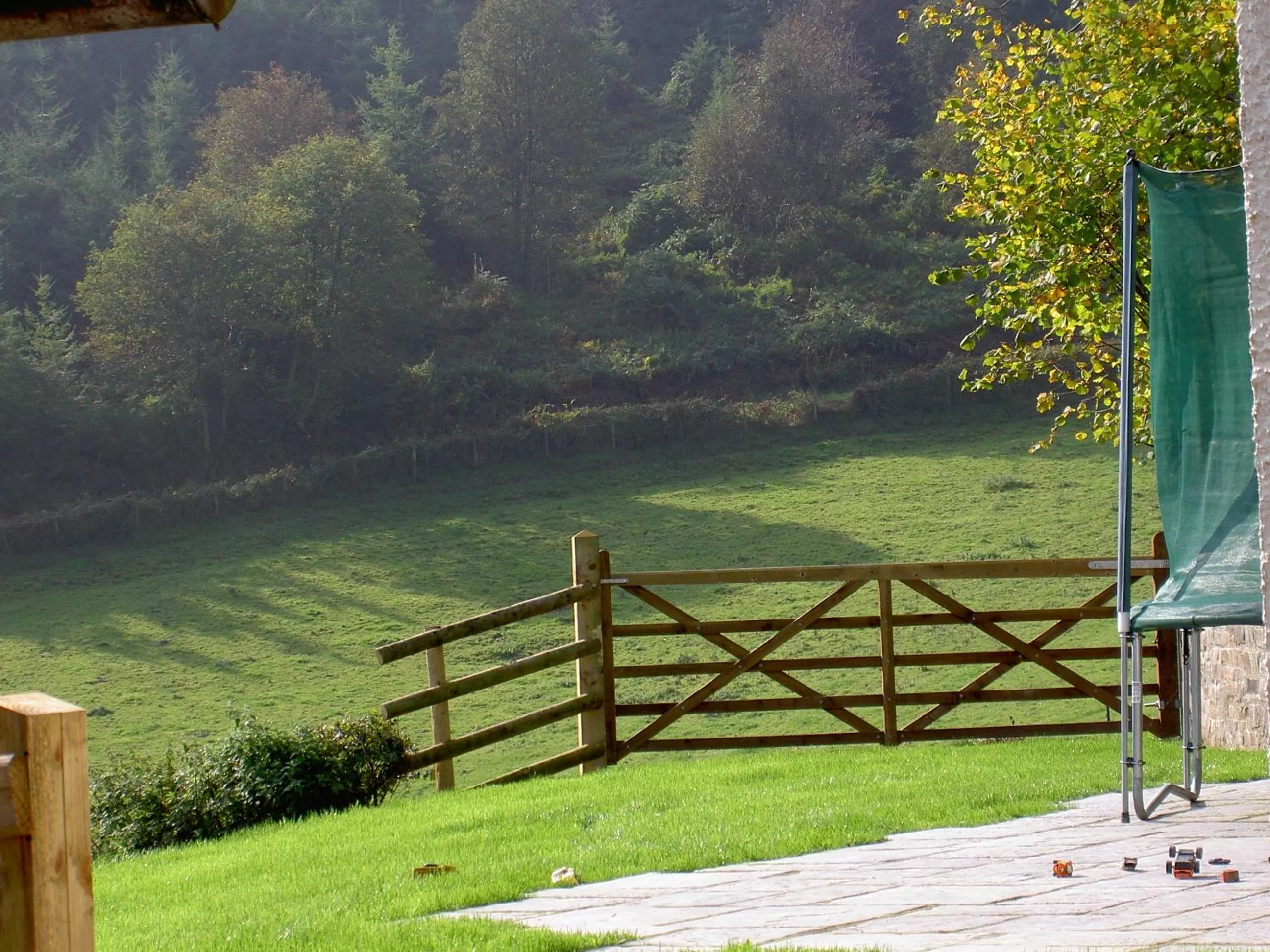 Natural landscape in Middle Woodbatch B&B
