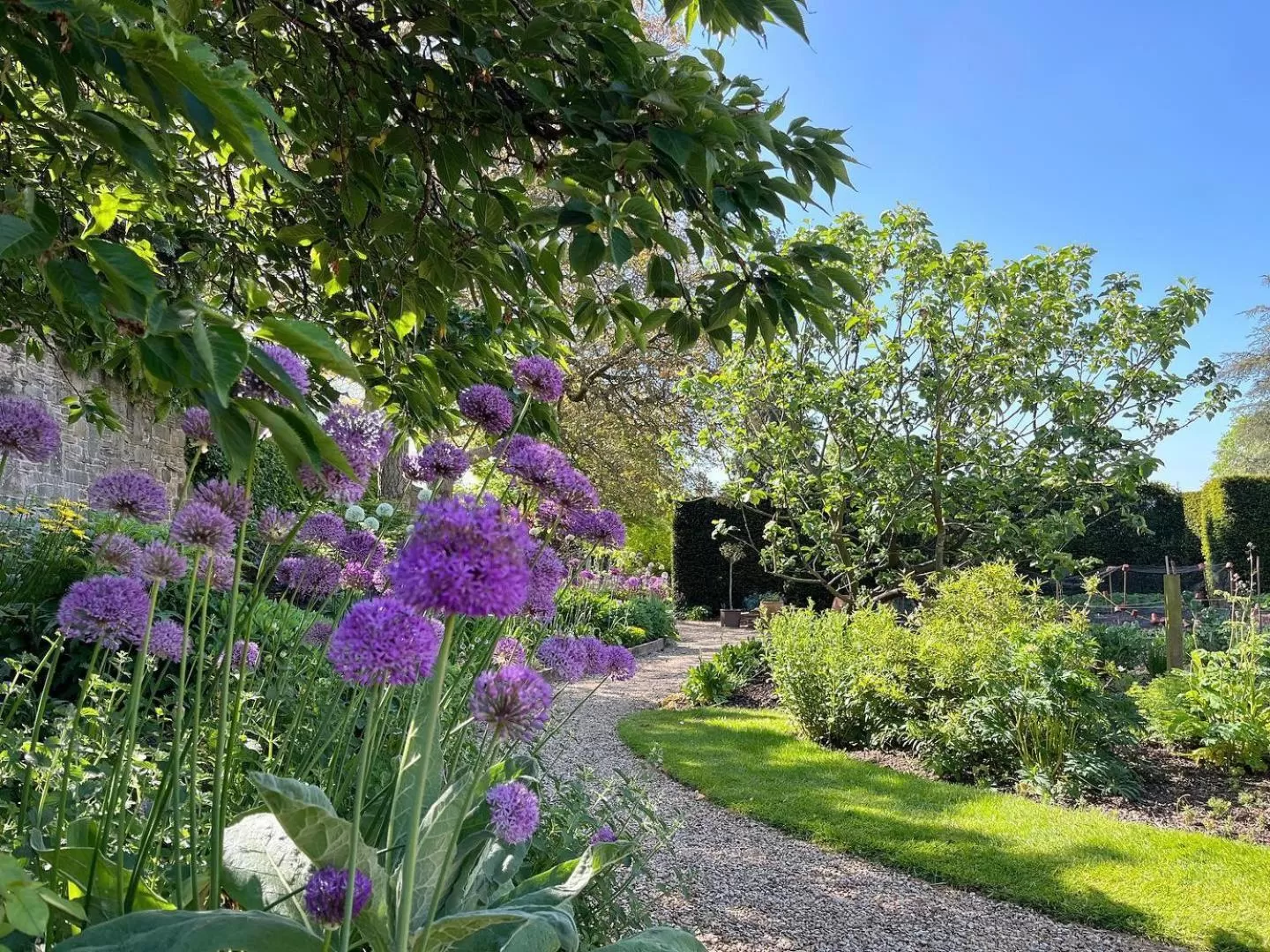 Garden in Fischers Baslow Hall - Chatsworth