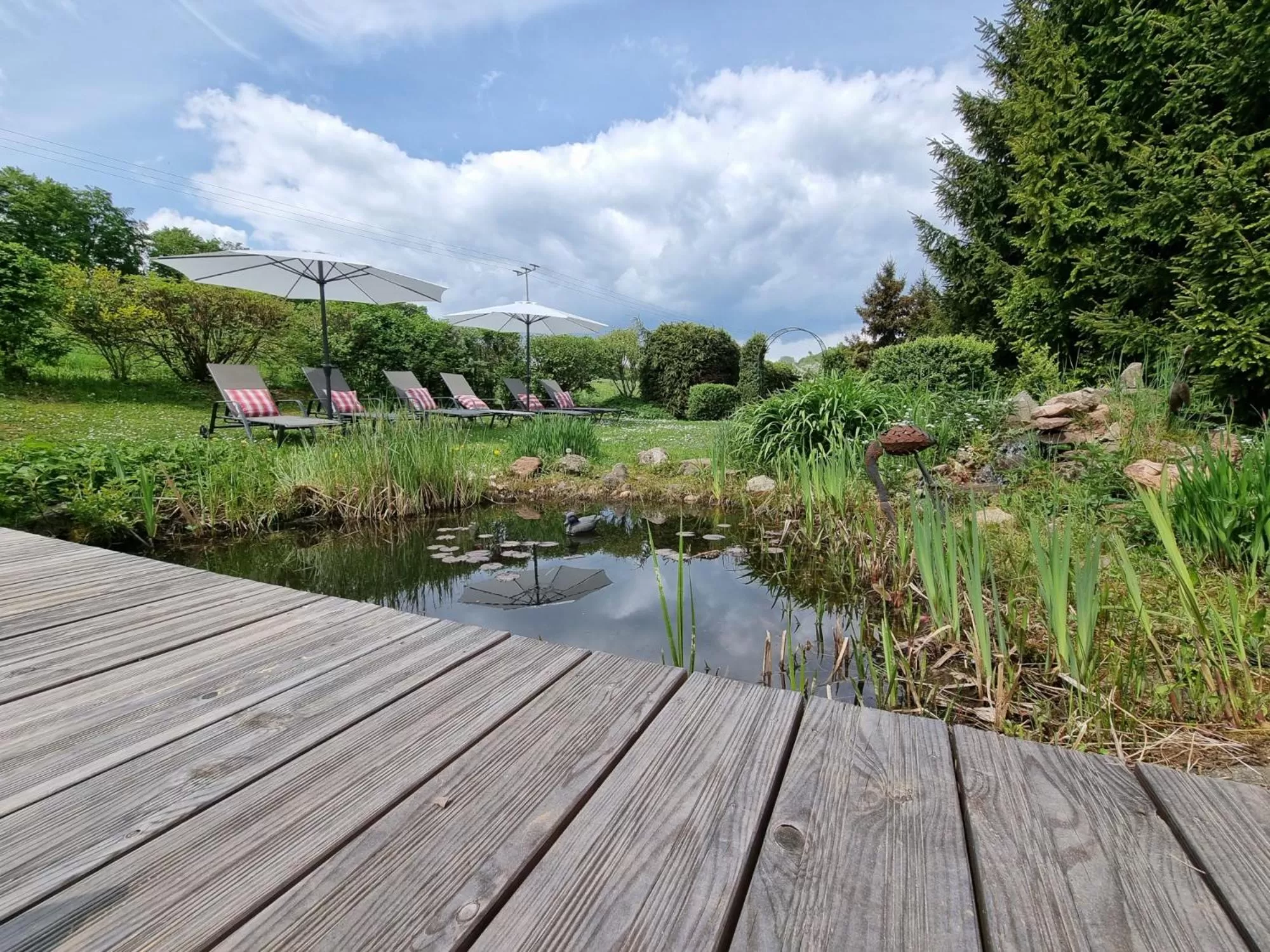 Pool View in Landhaus Talblick- Boutique Hotel Bed and Breakfast