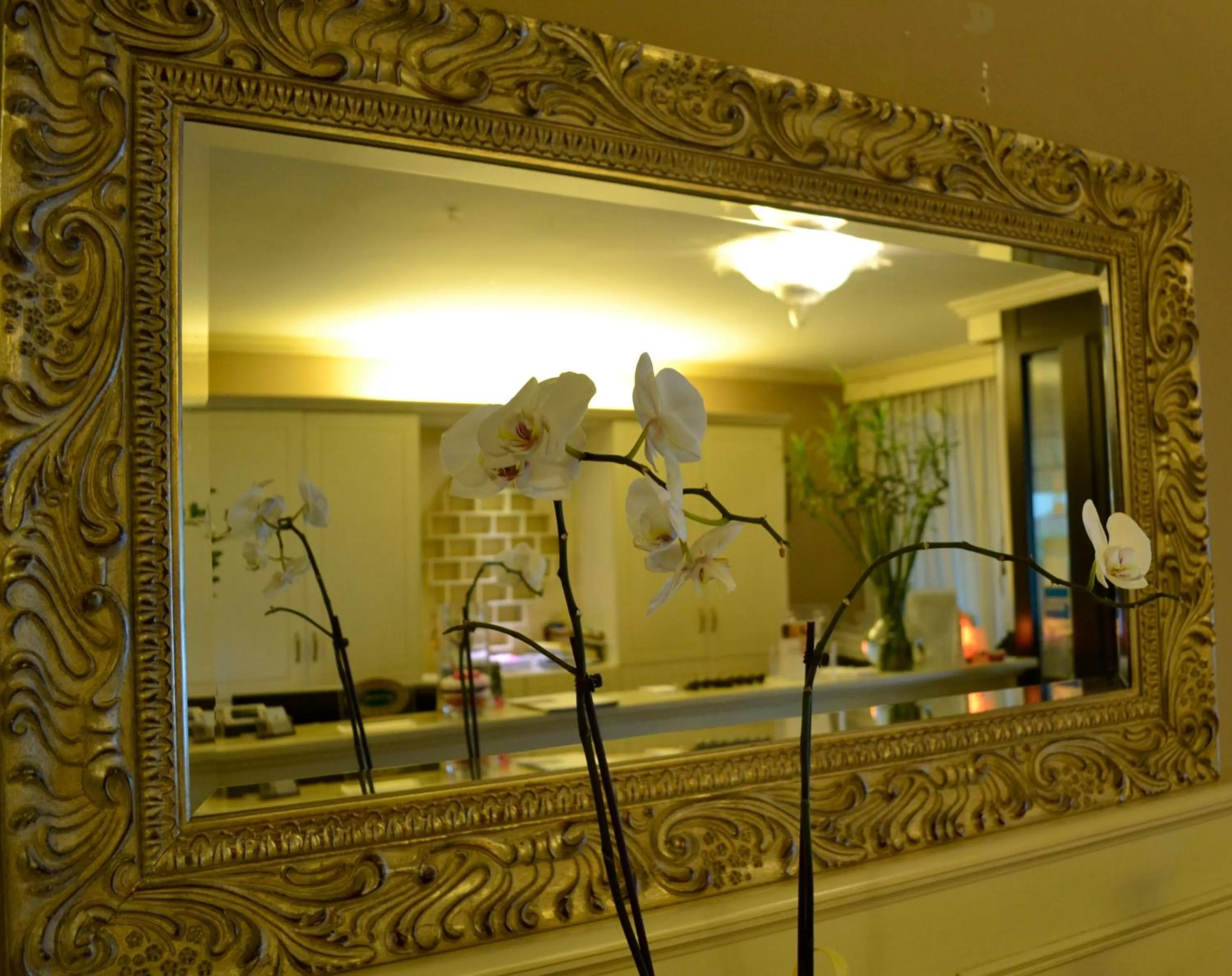 Lobby or reception in Hotel Ezzelino