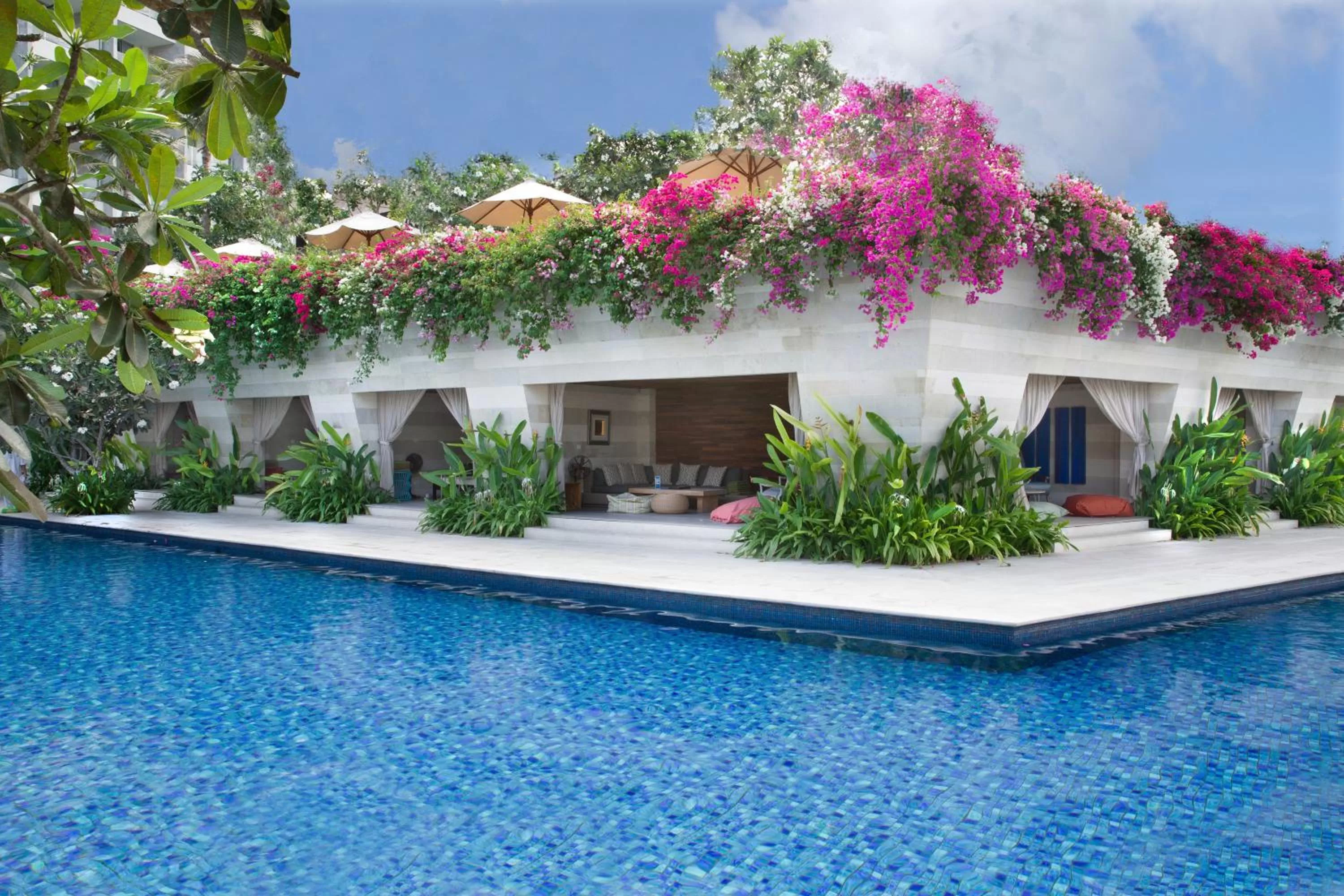 Swimming pool in RIMBA by AYANA Bali