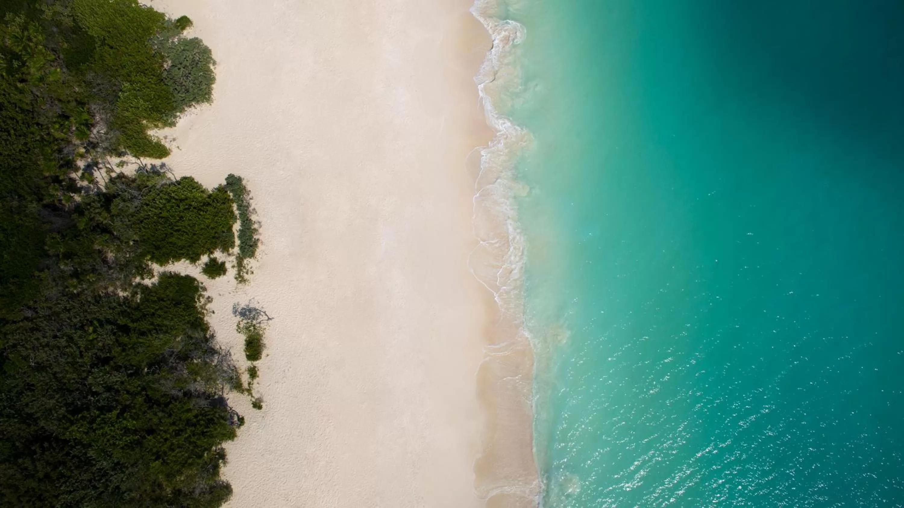 Beach in Family Selection at Grand Palladium Costa Mujeres Resort & Spa - All Inclusive