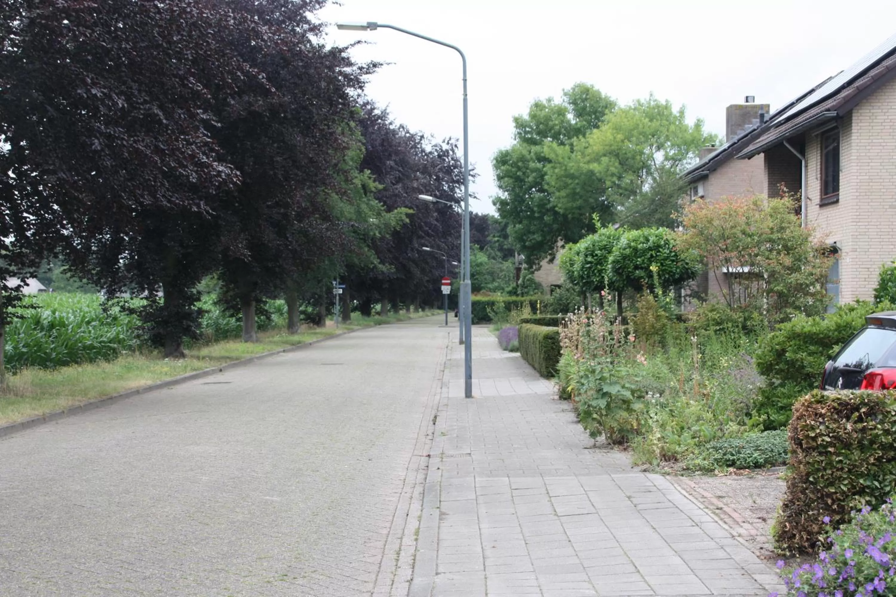 Street view in tisOKE