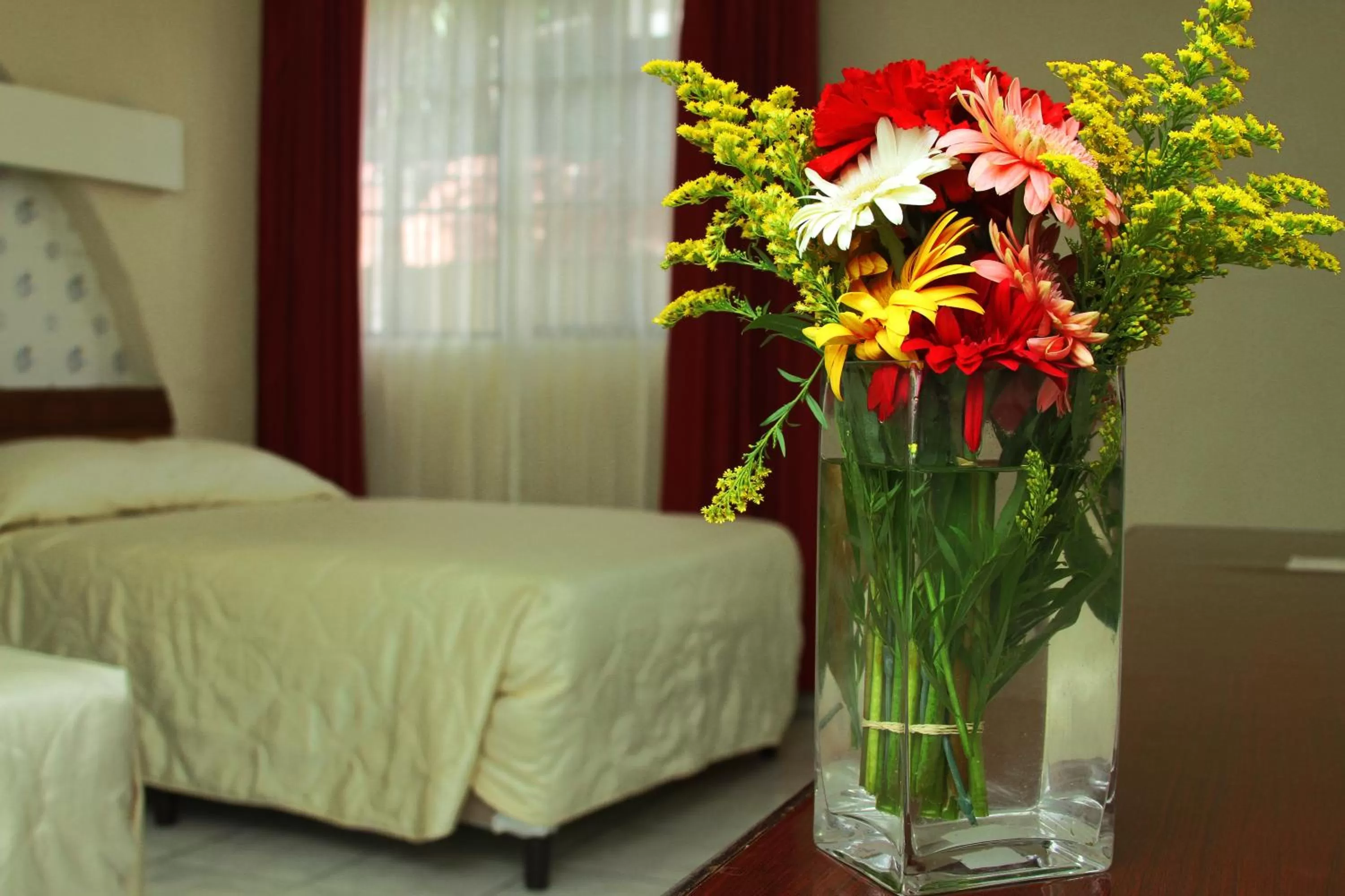 Photo of the whole room, Room Photo in Hotel Estrella