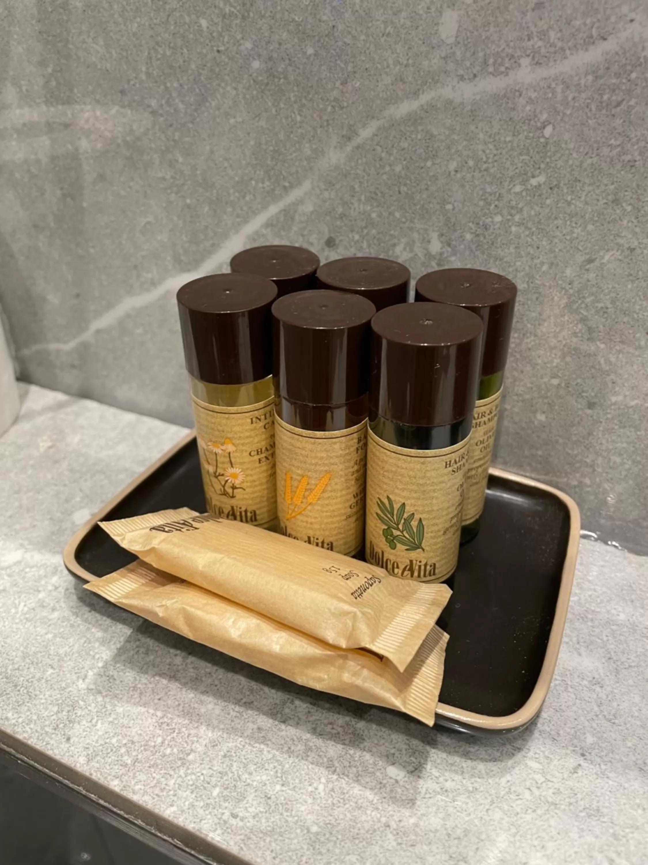 PALAZZO FIACCADORI - Historical Palace