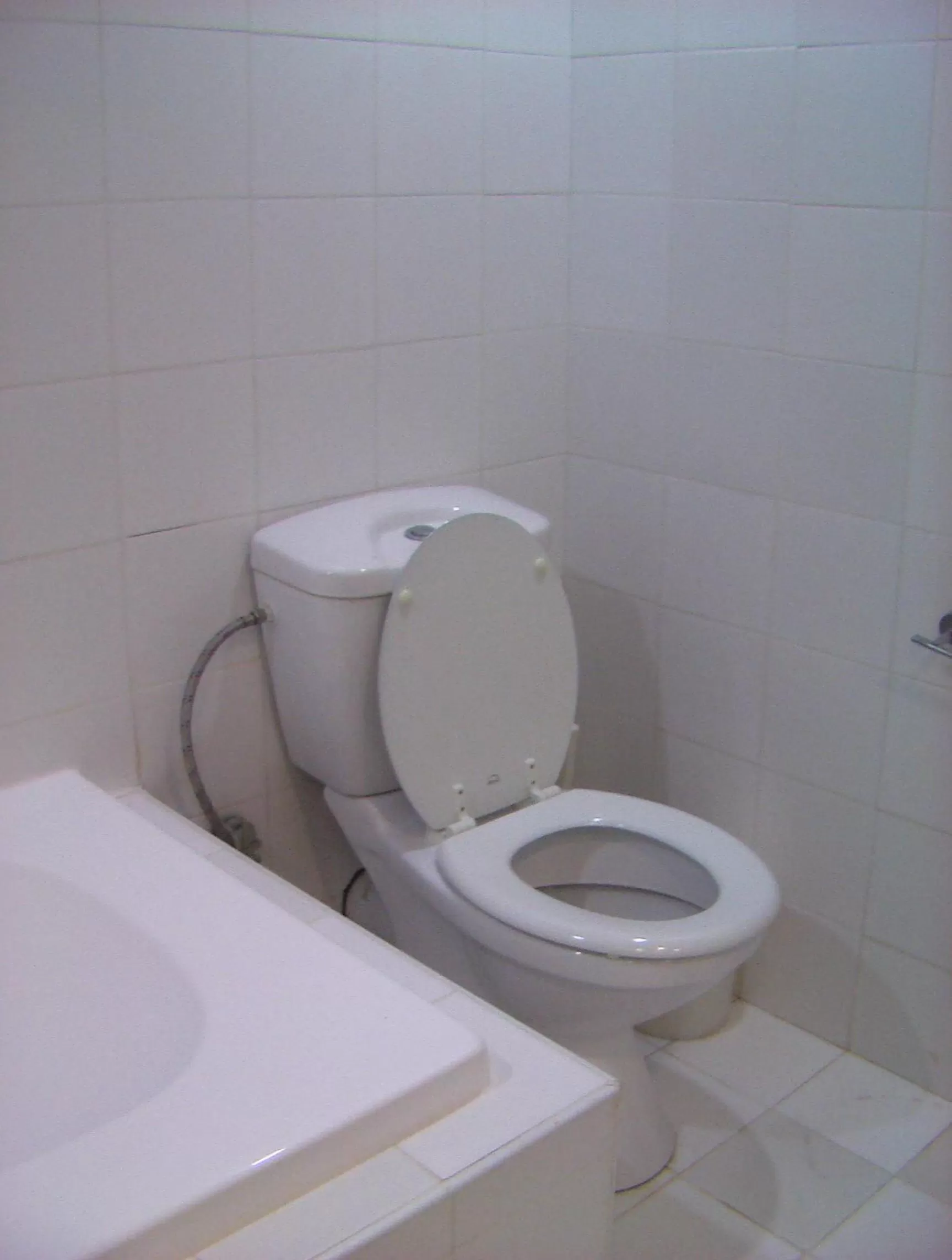 Toilet, Bathroom in Raphael Apartments