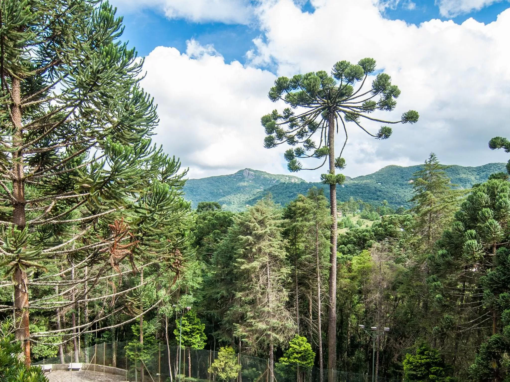 Facade/entrance, Mountain View in Pousada Ricanto Amore Mio