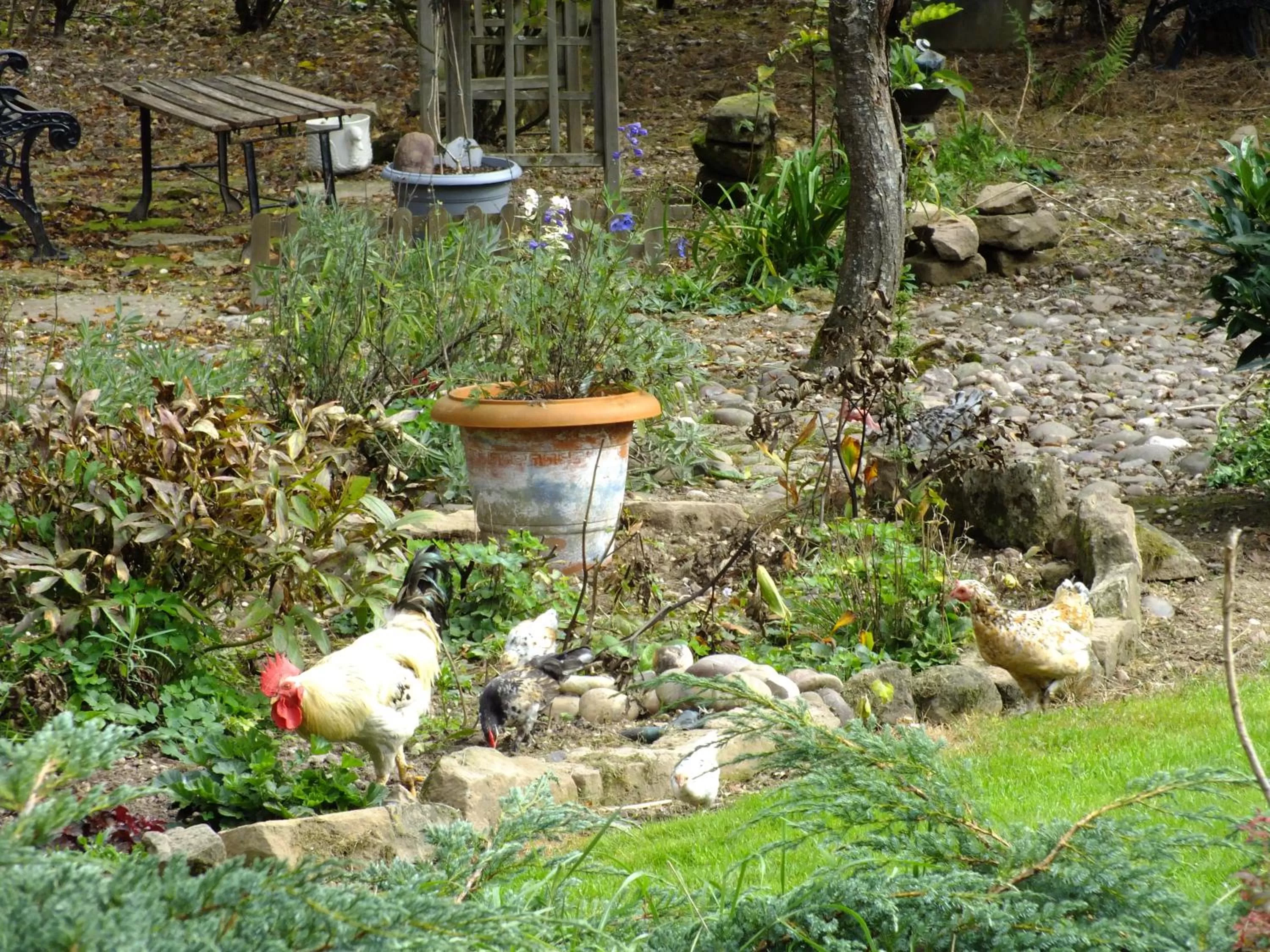 Chambres d'hôtes La Charmante