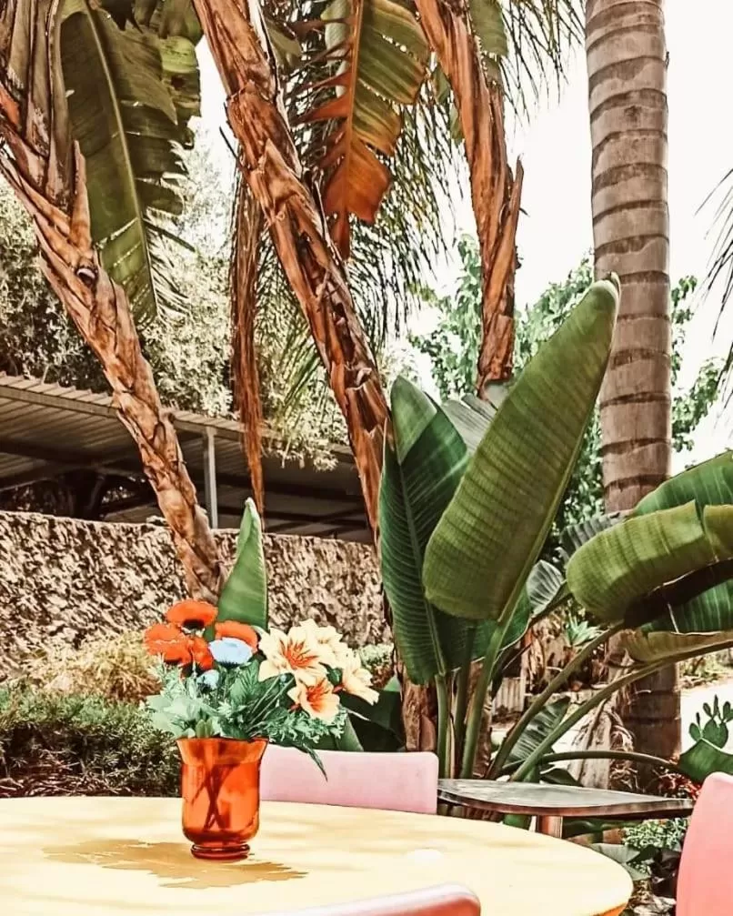 Garden in Residence La Palma