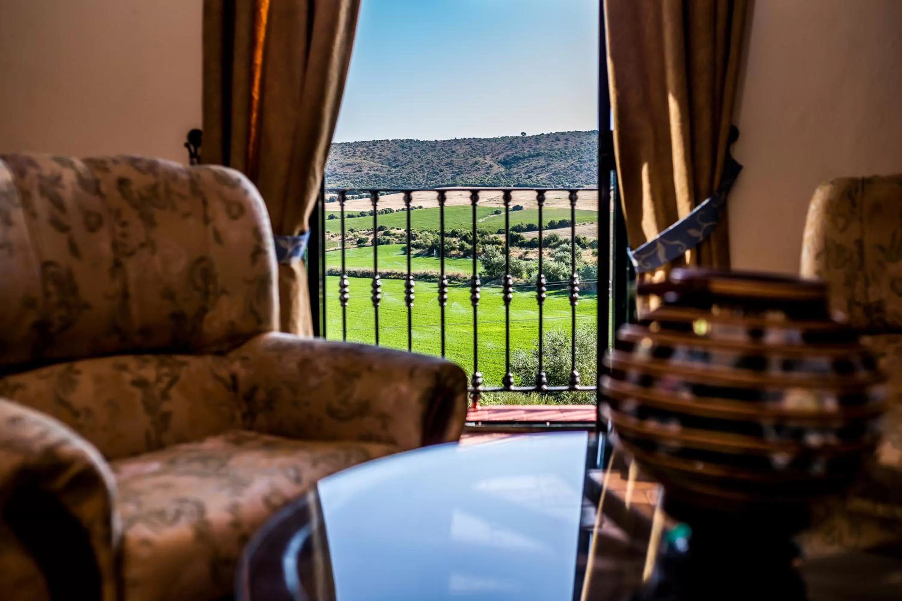 View (from property/room) in Hacienda El Santiscal