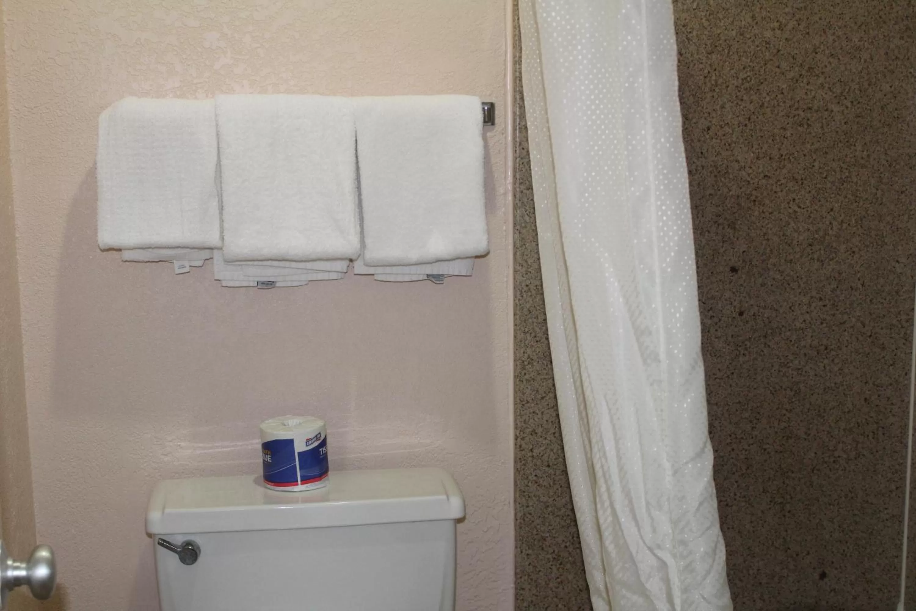 Bathroom in Americas Best Value Inn-Near NRG Park/Medical Center