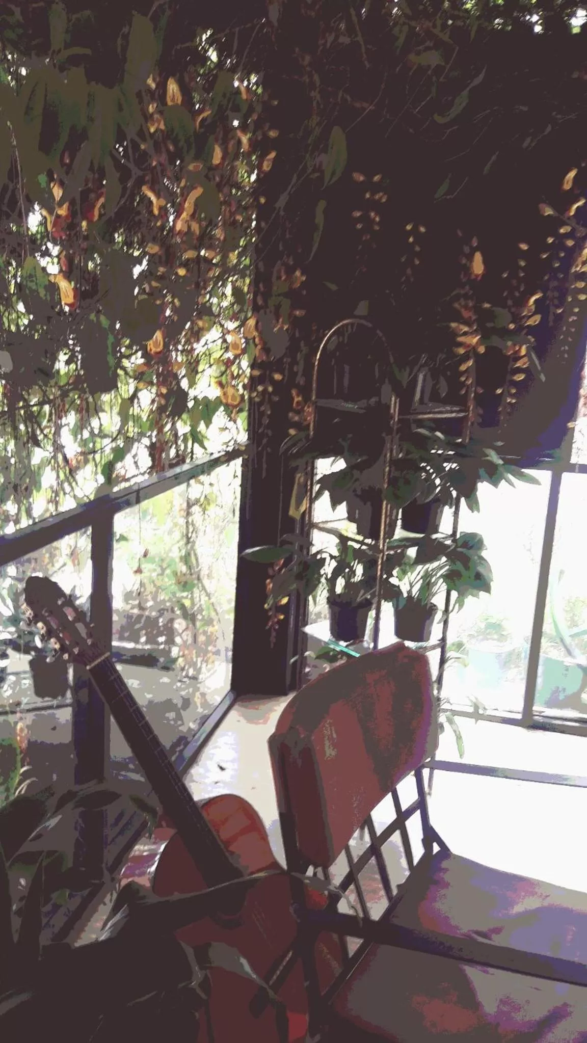 Library in ALTO LODGING Centro de Entrenamiento Deportivo y Negocios, a 2 pasos del Aeropuerto JMC, Transporte Incluido