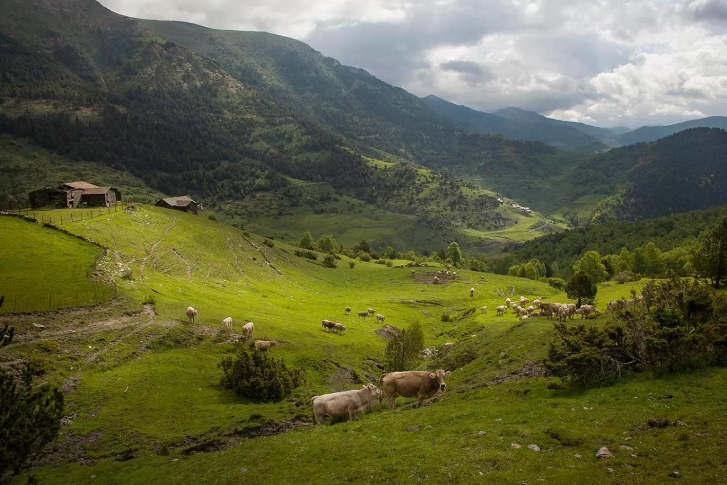 Natural landscape in Hotel Restaurant Les Brases
