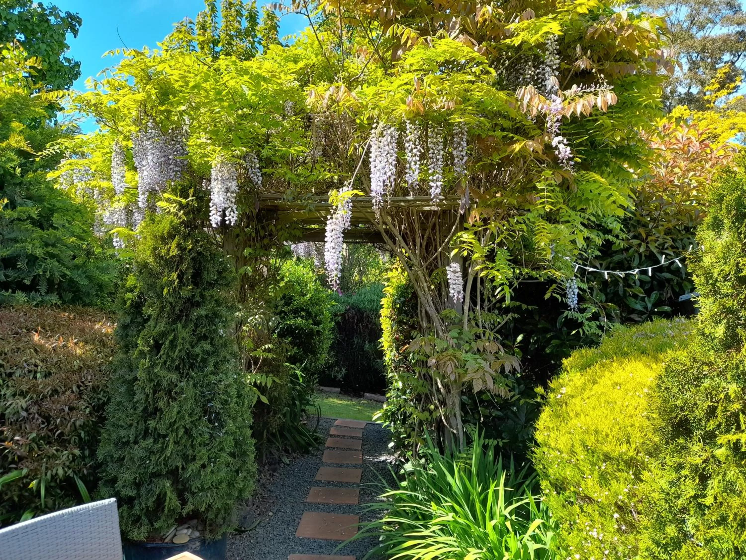 Hillside Bed and Breakfast