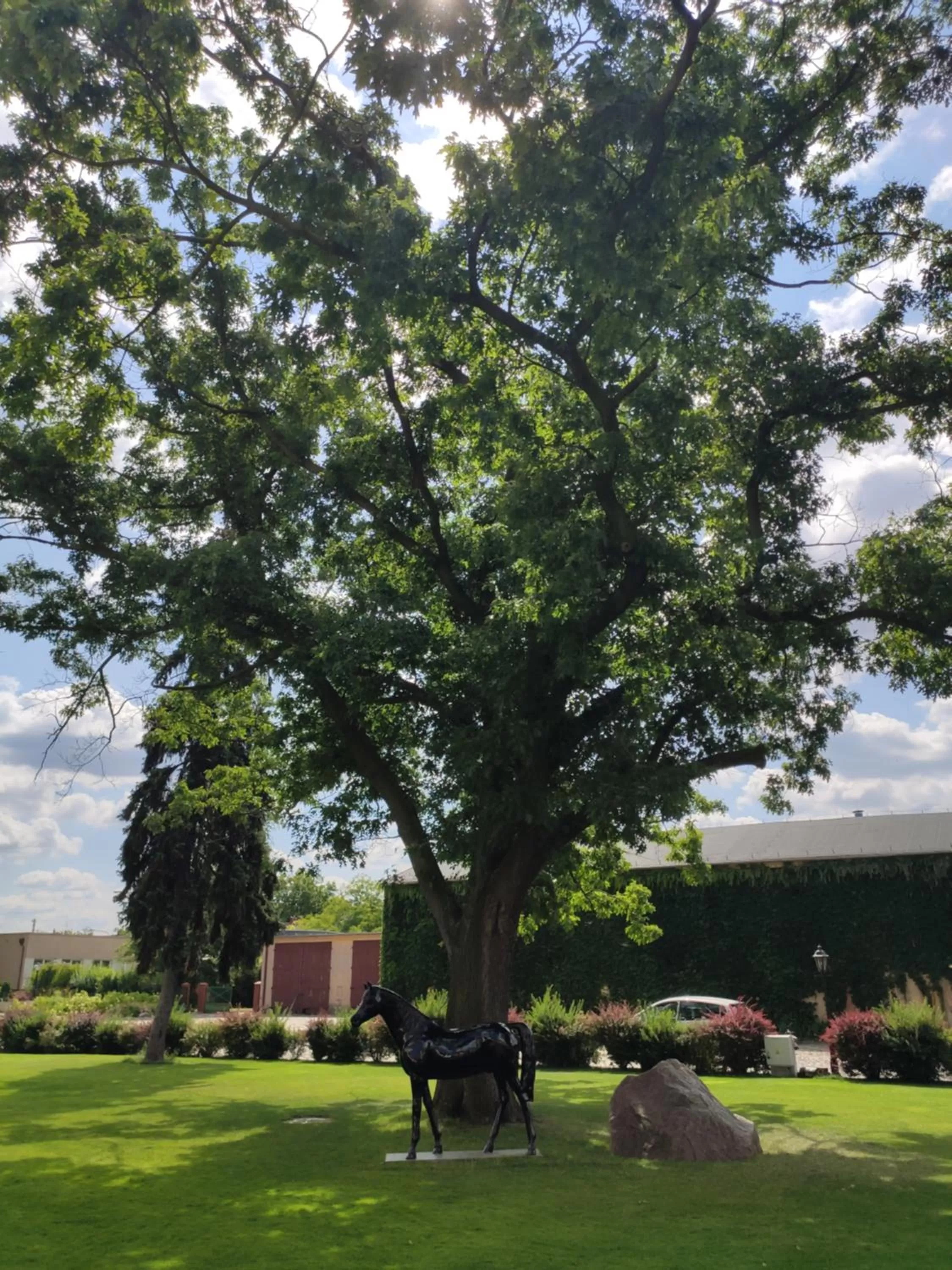Garden in Hotel Sandro Silver & Spichlerz Antoniny