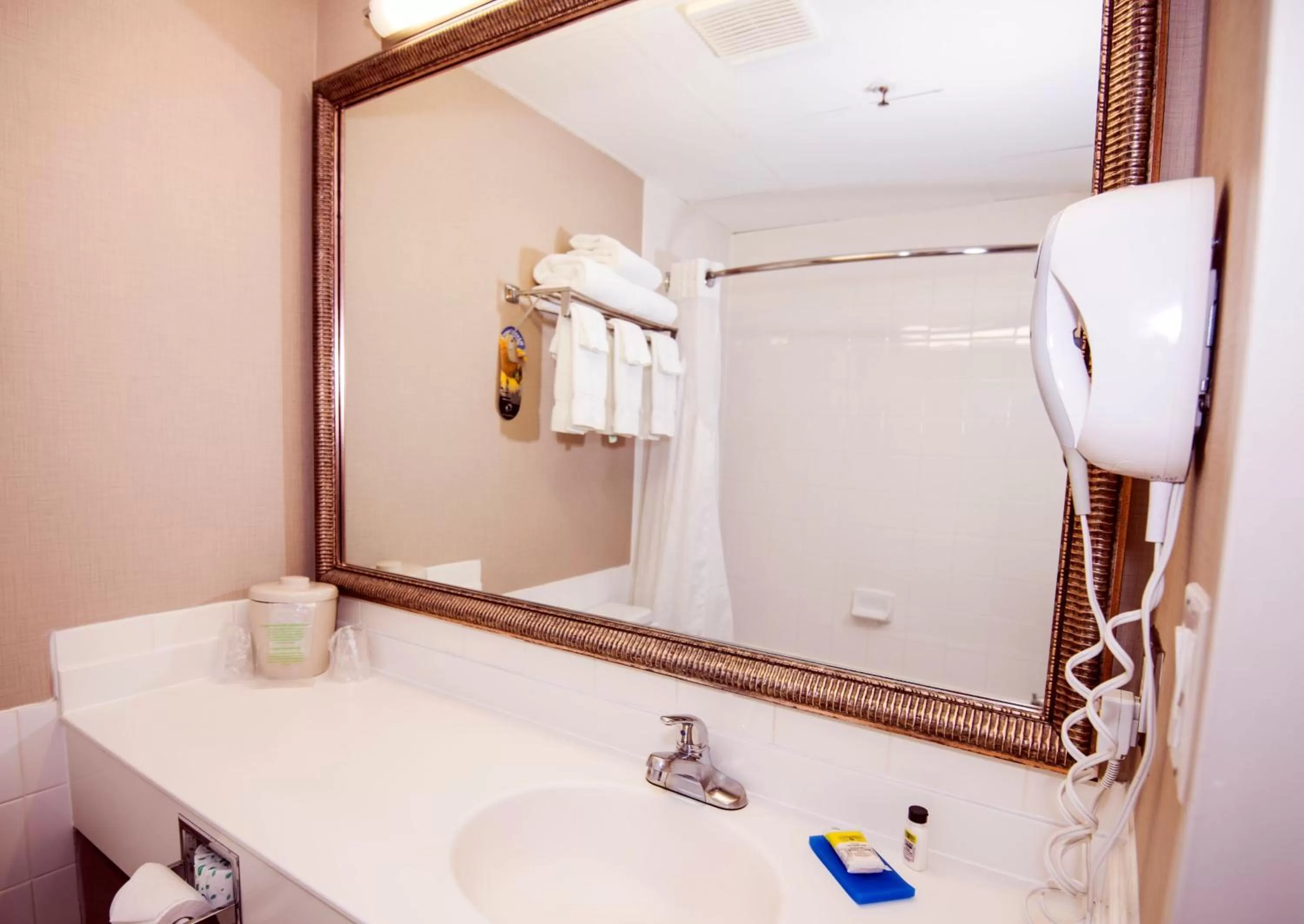 Photo of the whole room in Holiday Inn Express Red Deer by IHG