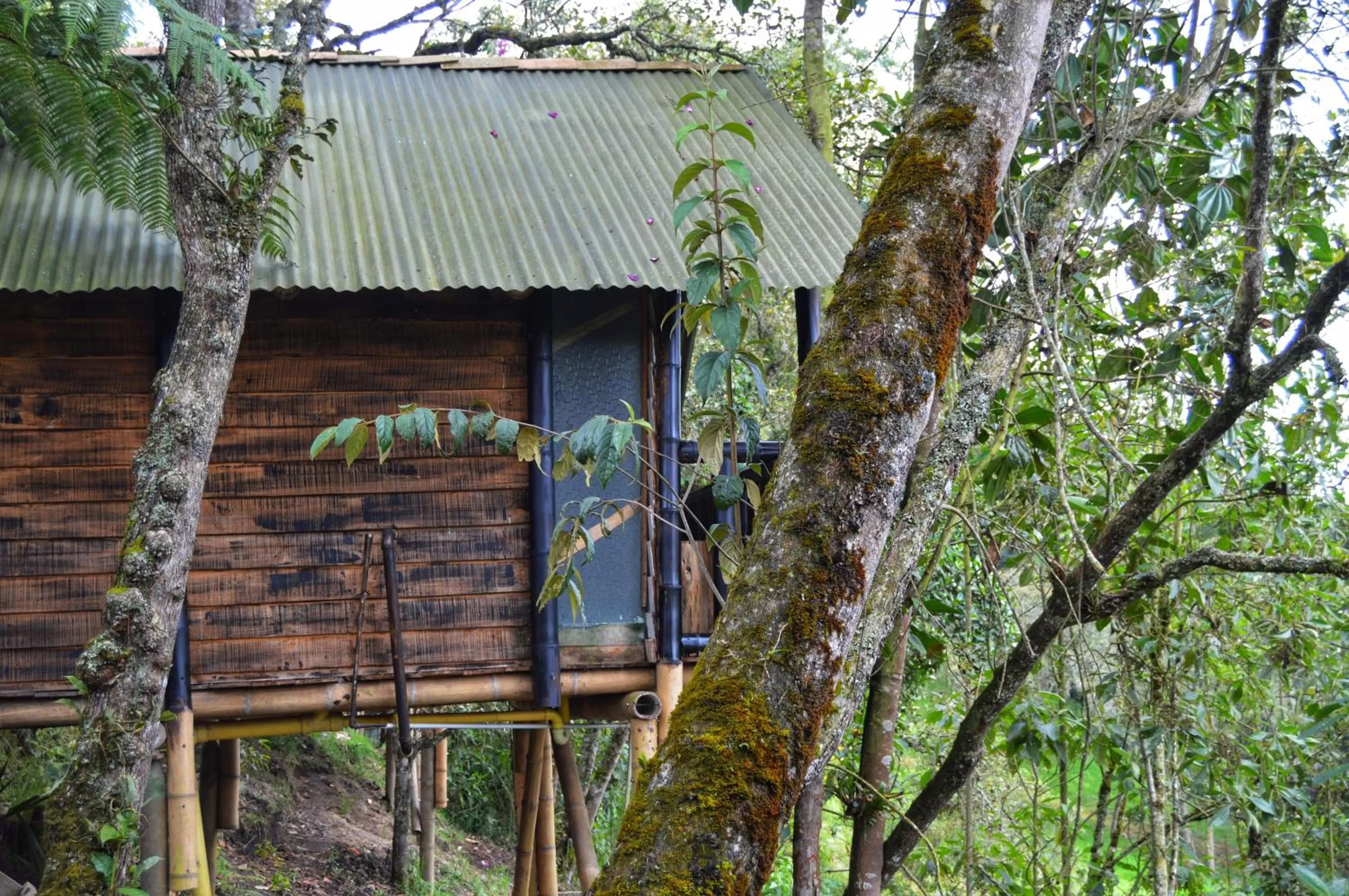 Property Building in Cabañas Rústicas El Viejo Tambo By Rotamundos