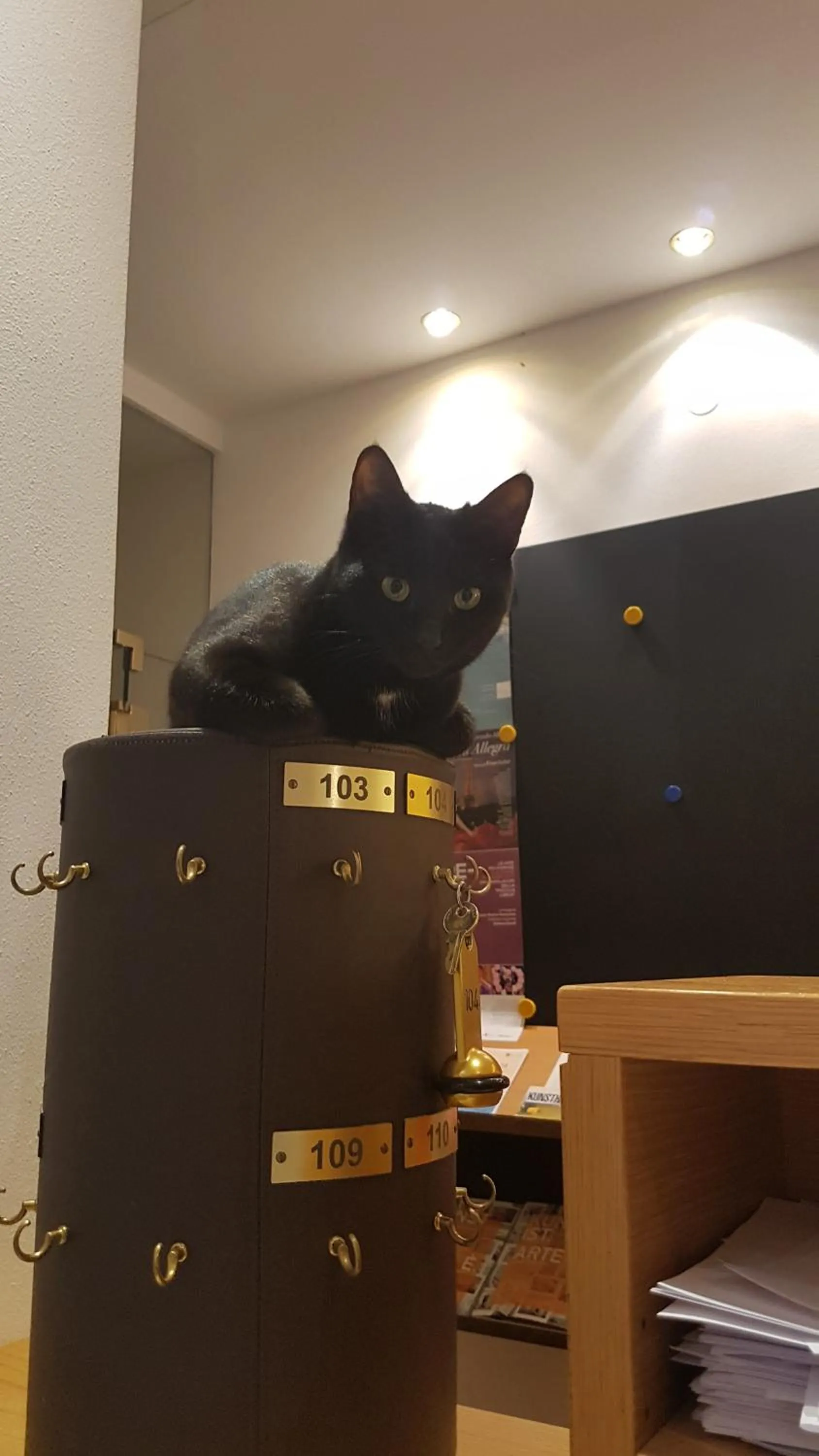 Lobby or reception in Hotel Sonnenhof